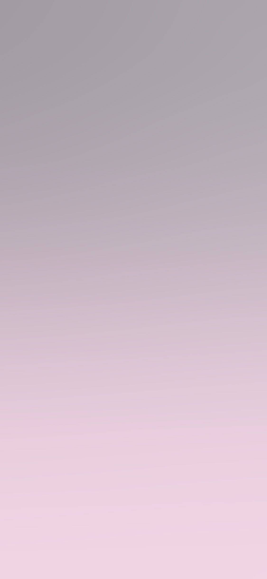 优雅浅紫iPhone壁纸 壁纸