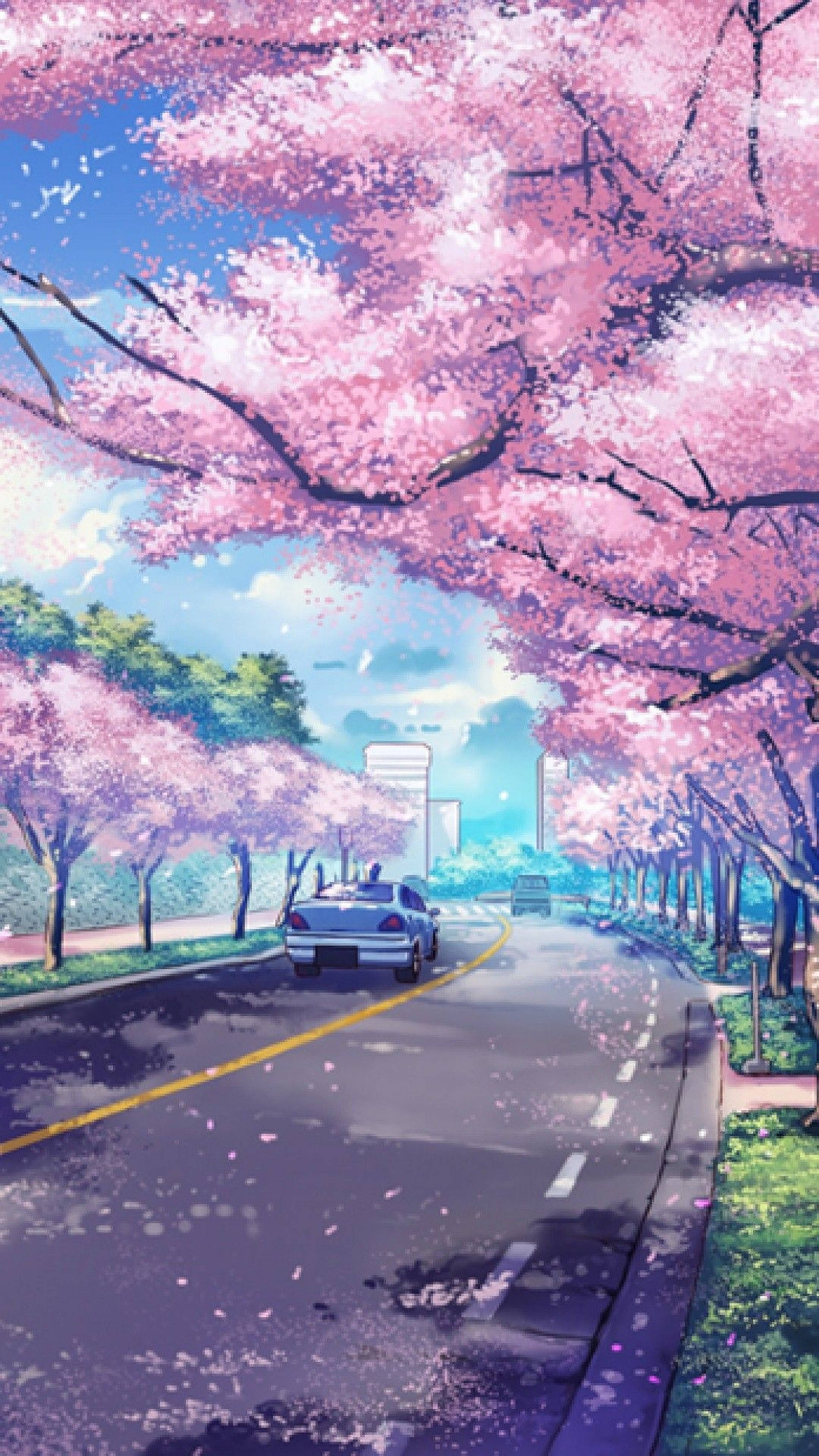 动漫樱花iPhone壁纸 壁纸