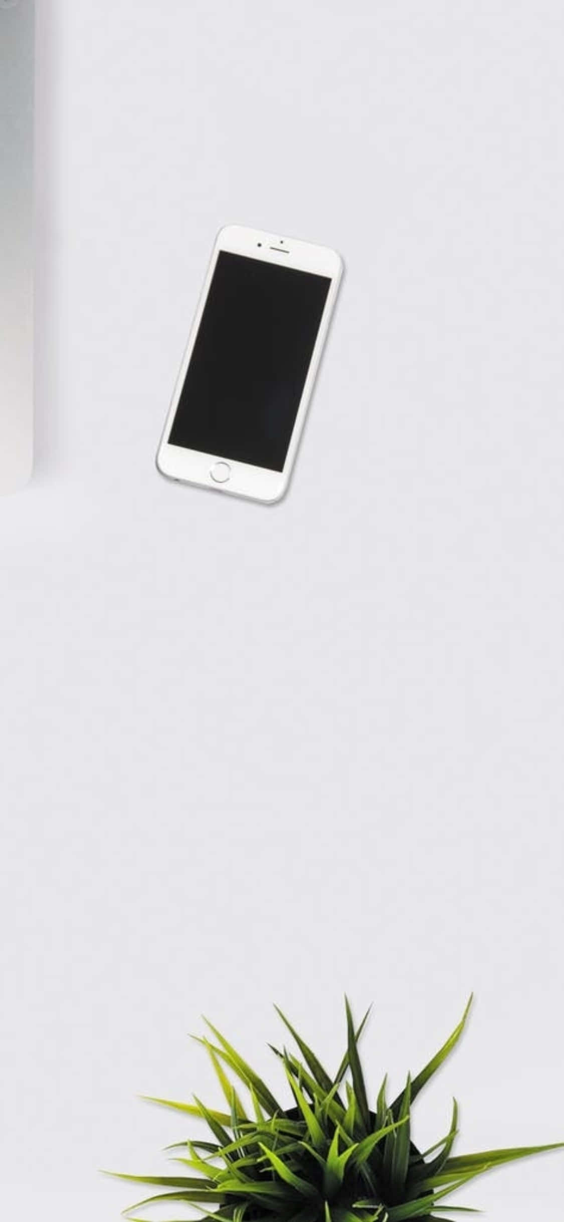iPhone X桌面背景白色手机与室内植物 壁纸