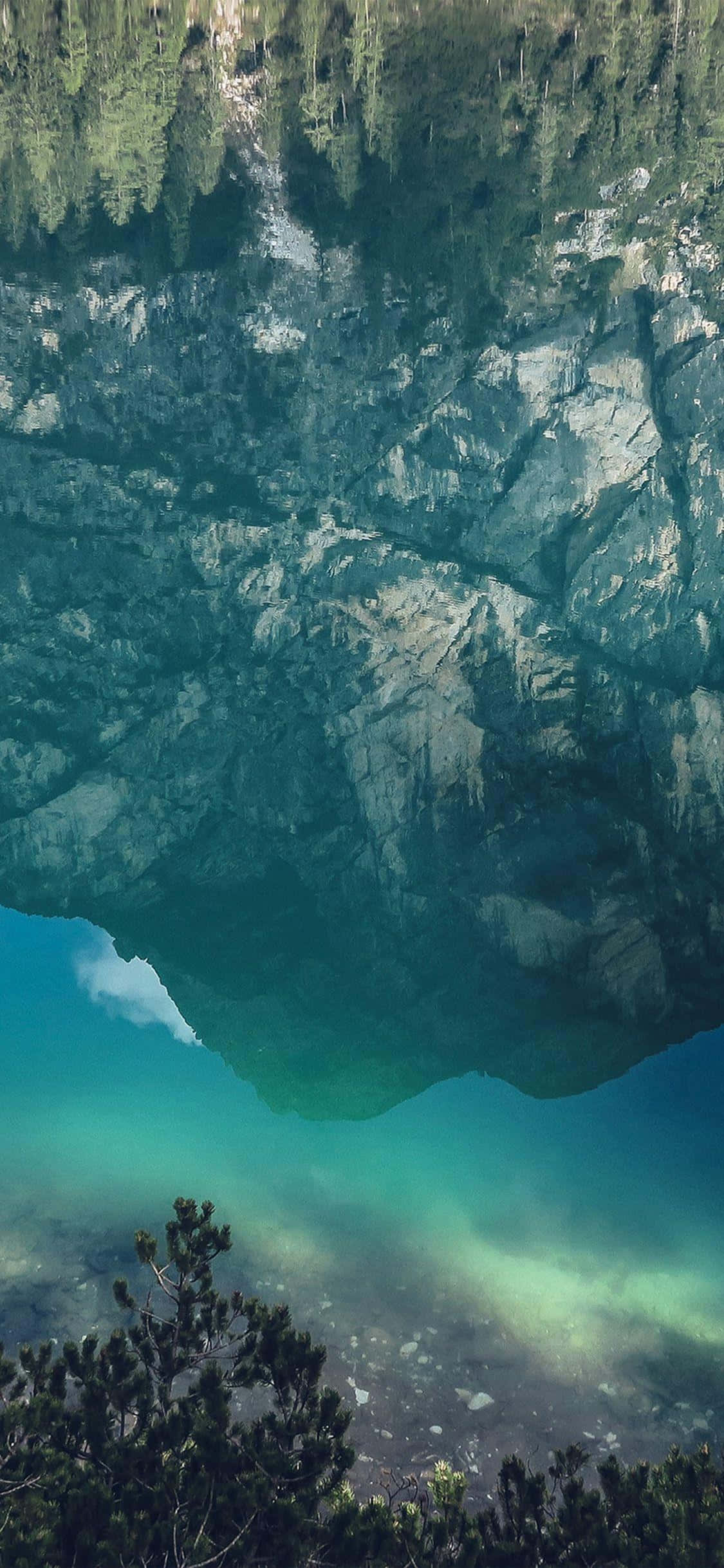 原始森林中的美丽瀑布：iPhone X 自然背景 壁纸