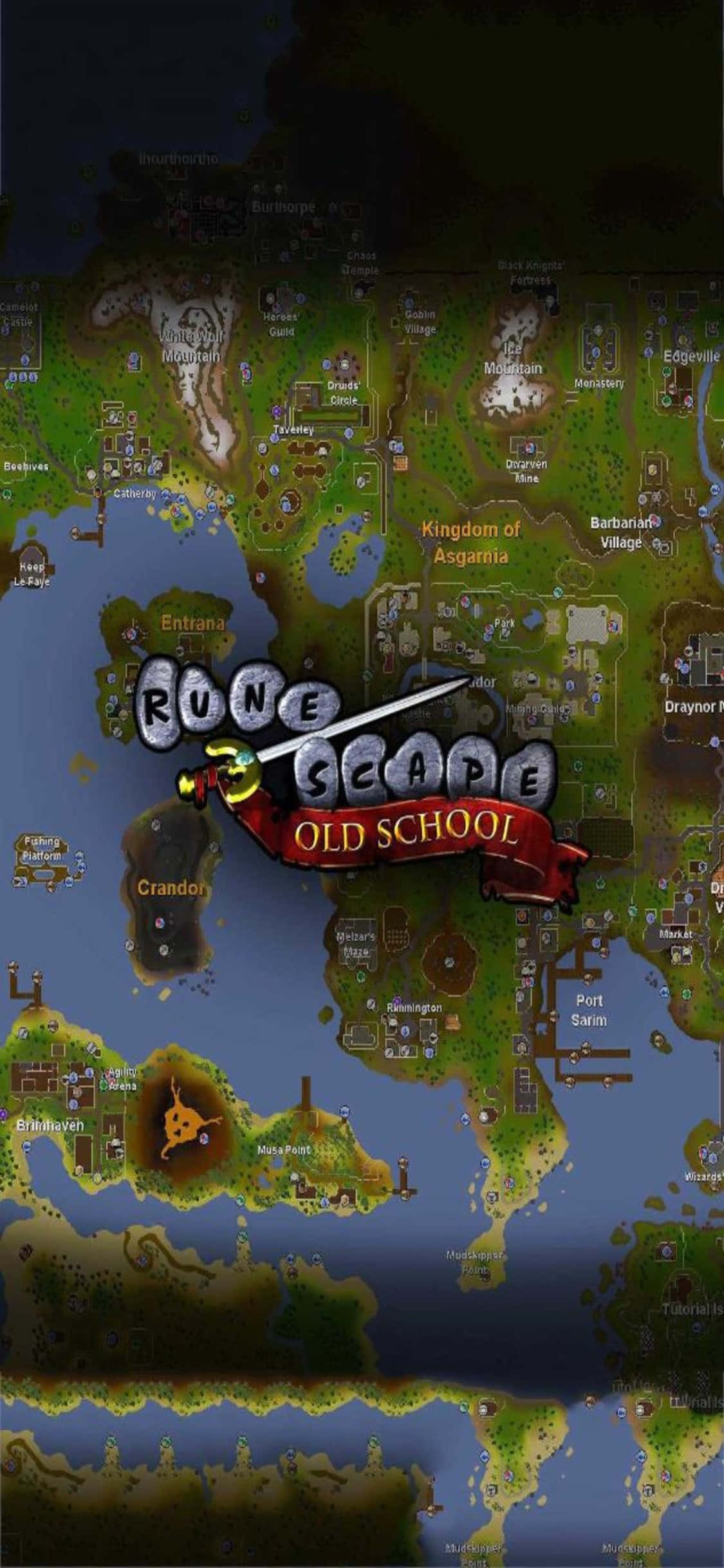 iPhone X Runescape 经典版 地图背景 壁纸