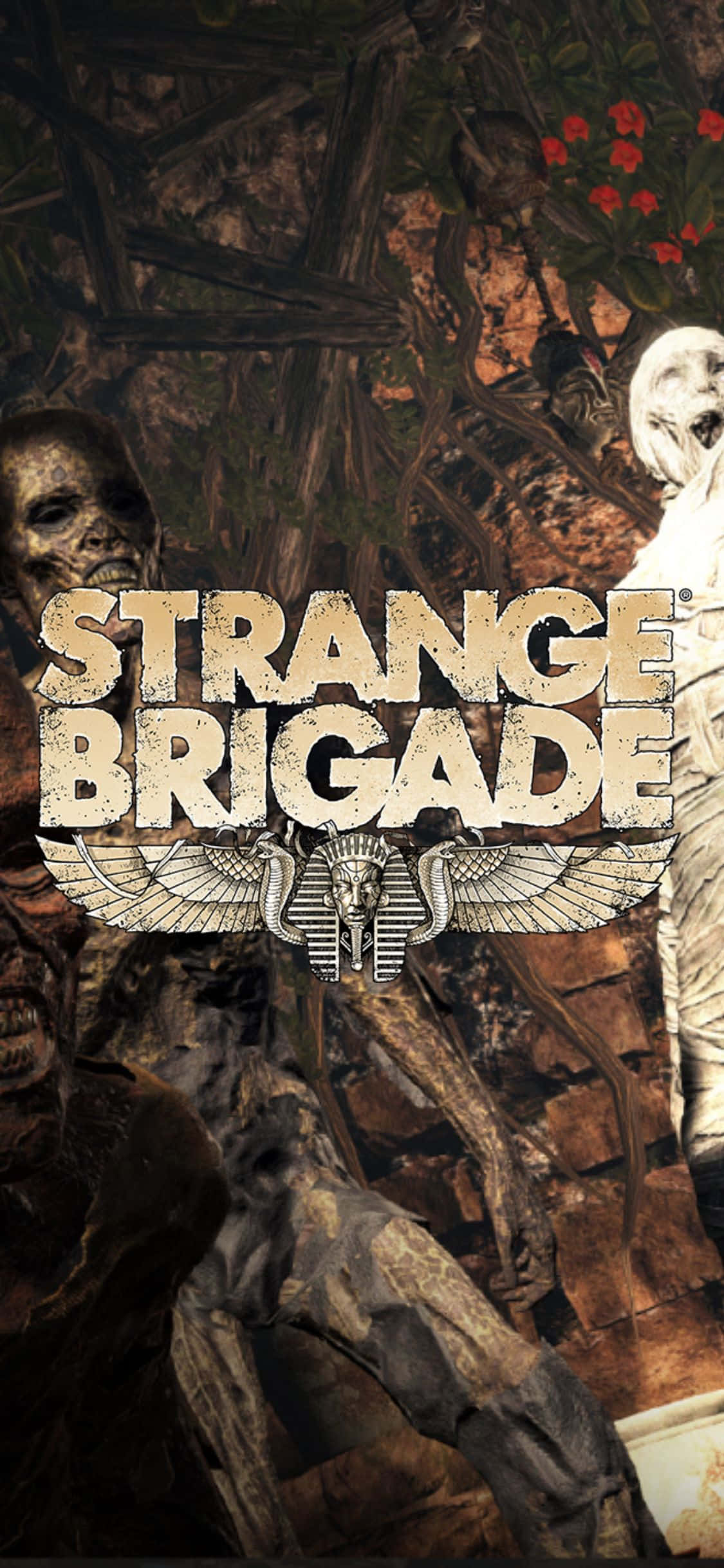 恐怖骷髅僵尸 iPhone X Strange Brigade 背景 壁纸