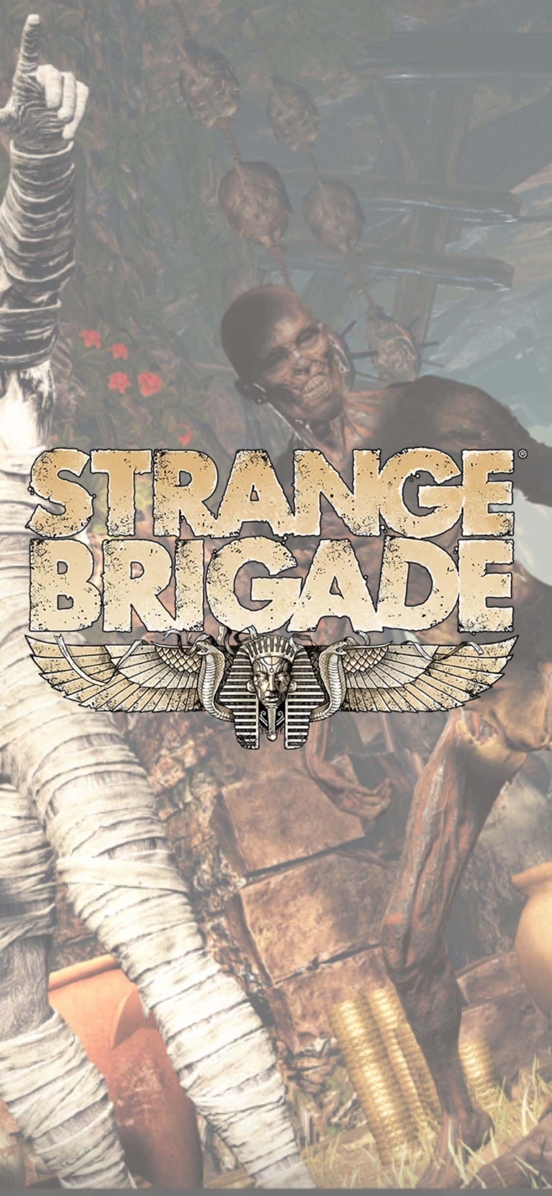 骷髅与裹尸僵尸 iPhone X Strange Brigade 背景 壁纸