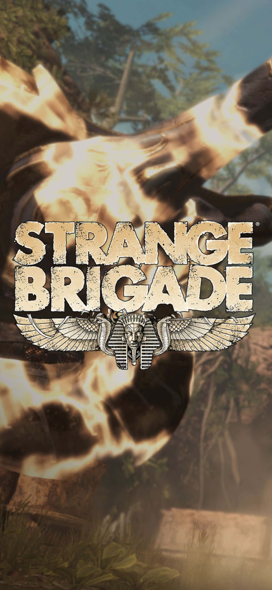 瓶装火焰武器 iPhone X Strange Brigade 背景 壁纸