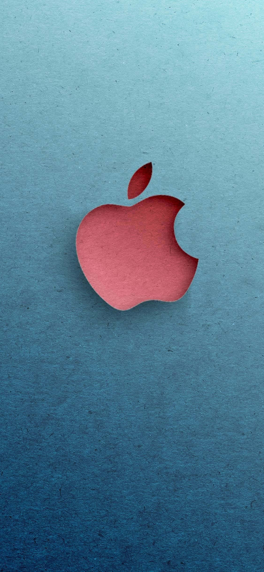 iPhone X图片 壁纸