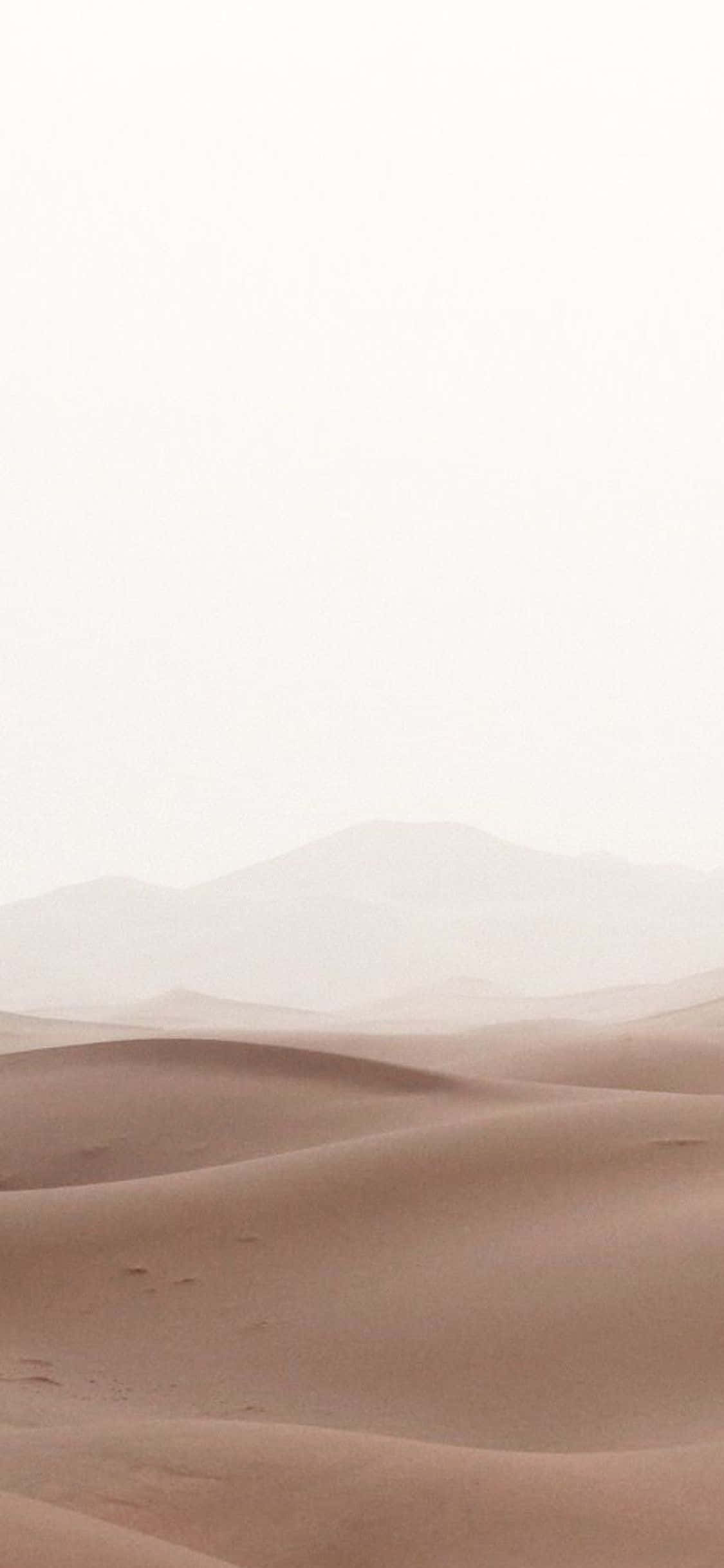iPhone X 简约沙漠沙地背景 壁纸