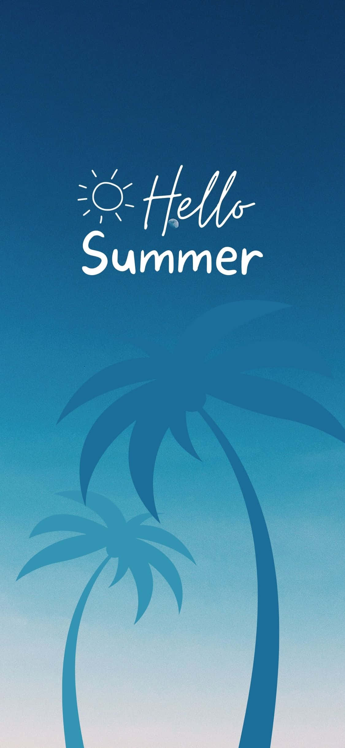 棕榈树剪影 iPhone X 夏日背景 壁纸
