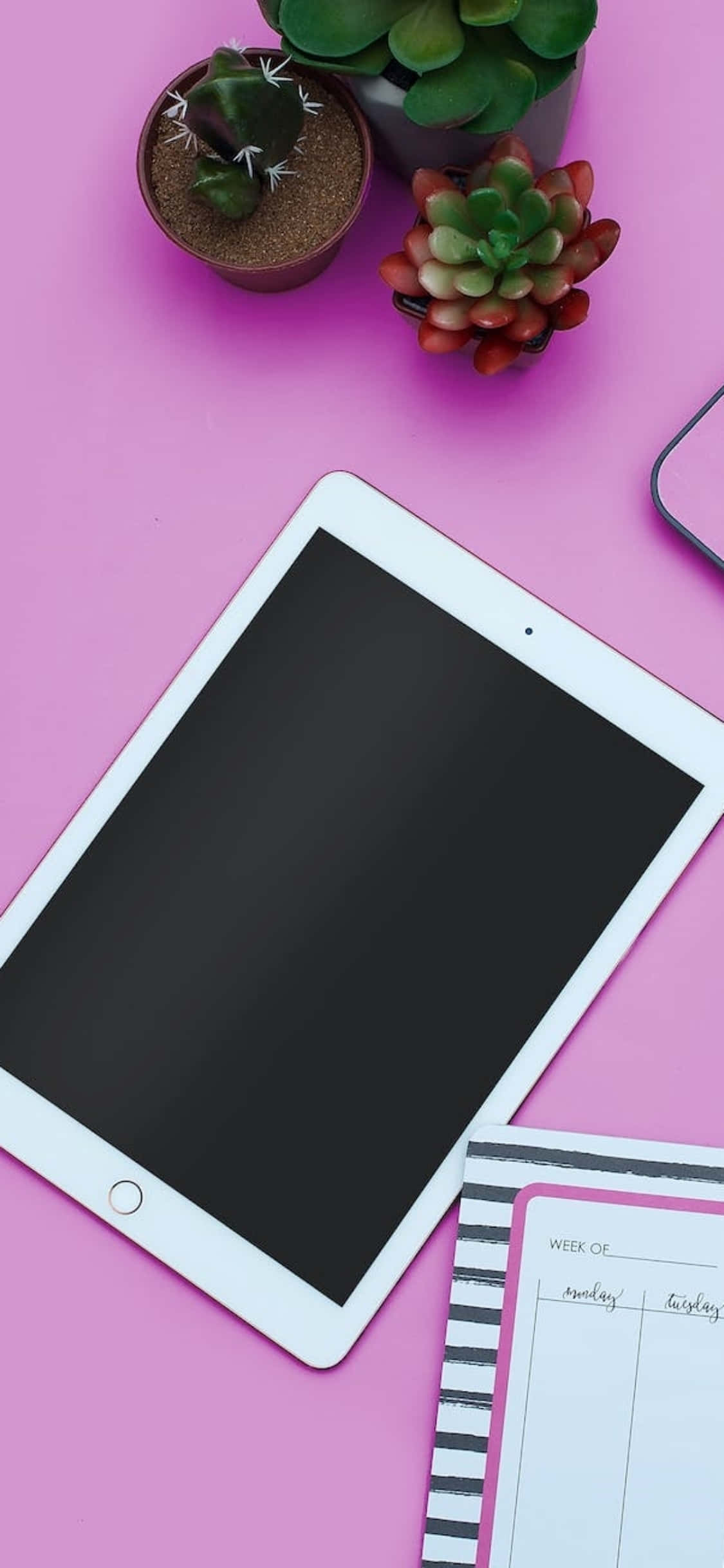 iPhone X桌面背景粉色桌面与iPad 壁纸