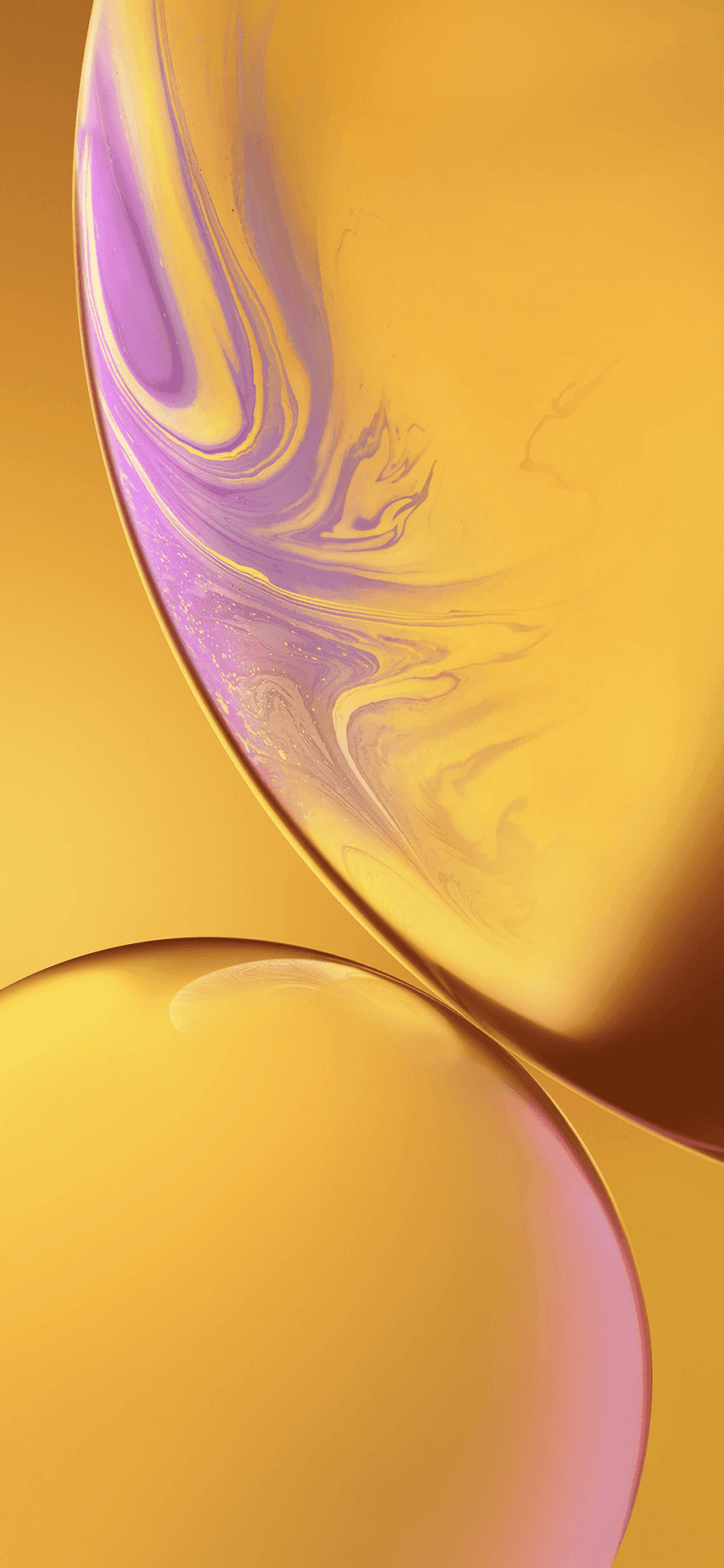 iPhone XR 图片 壁纸