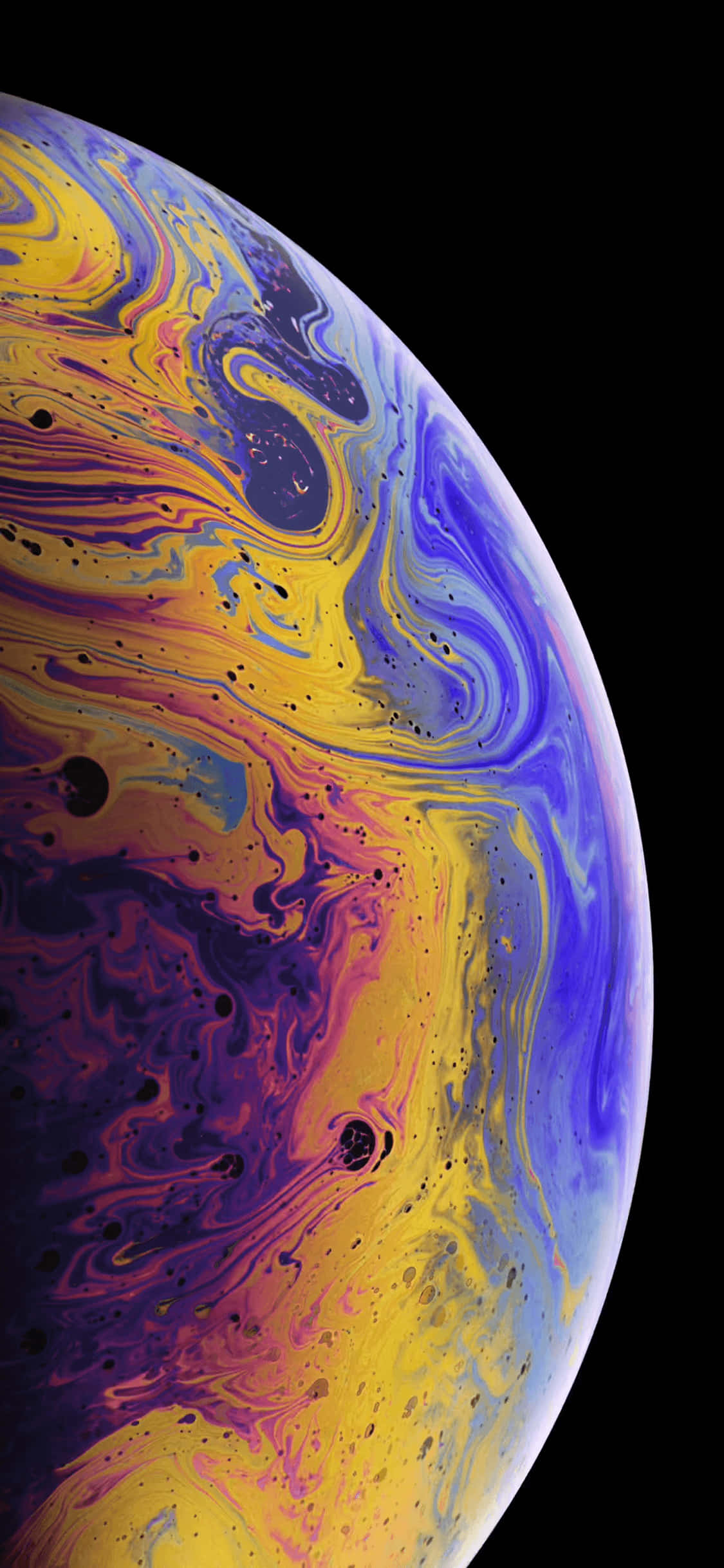 “革命性的iPhone Xr——现已上市！” 壁纸