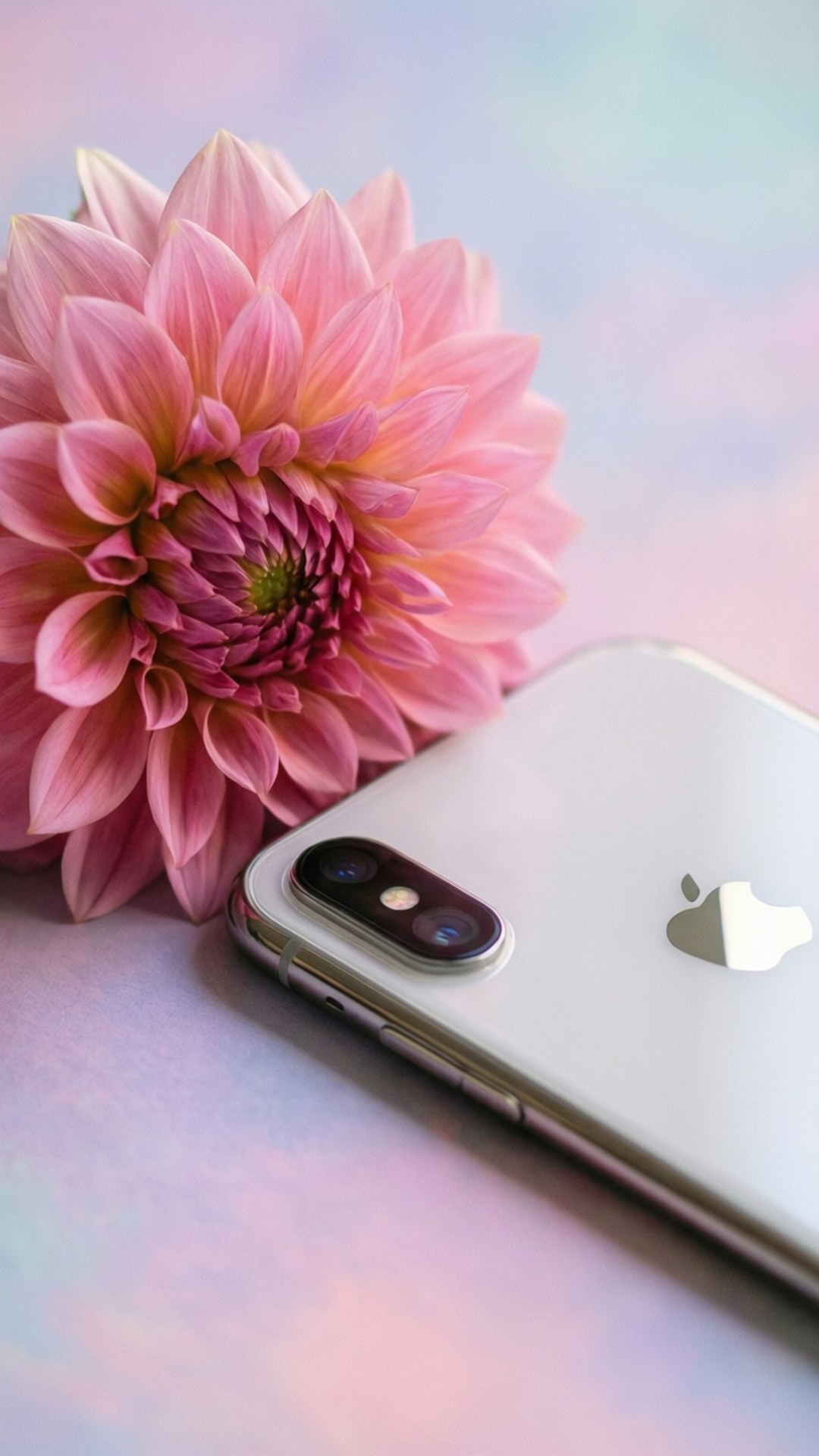 花卉优雅 iPhone XR 壁纸