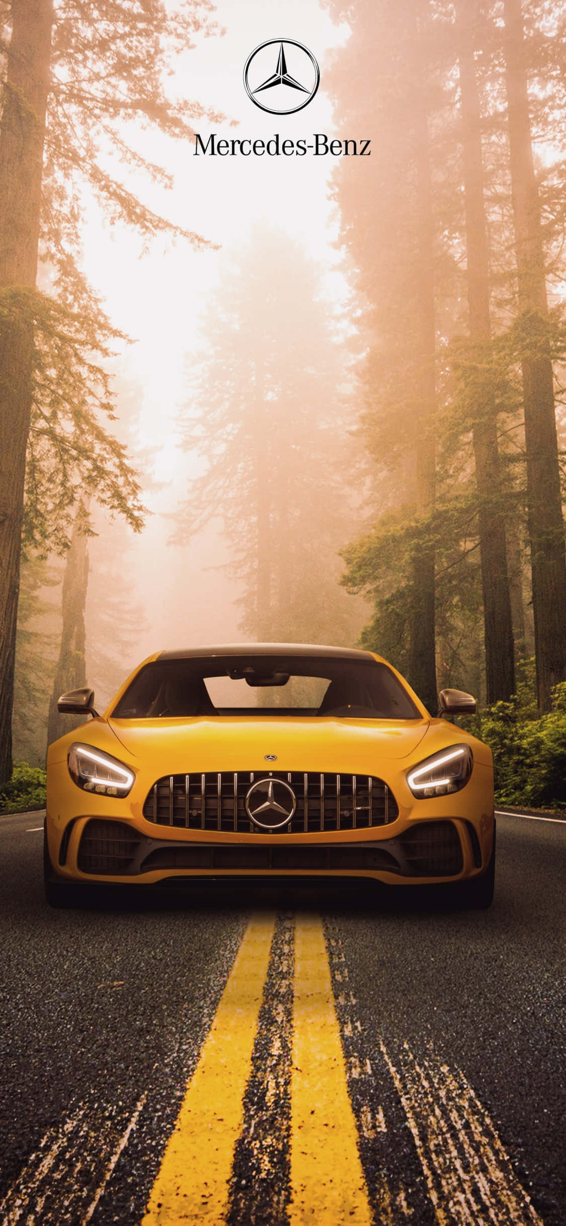 黄色 iPhone Xs 梅赛德斯 AMG 背景，森林中 壁纸