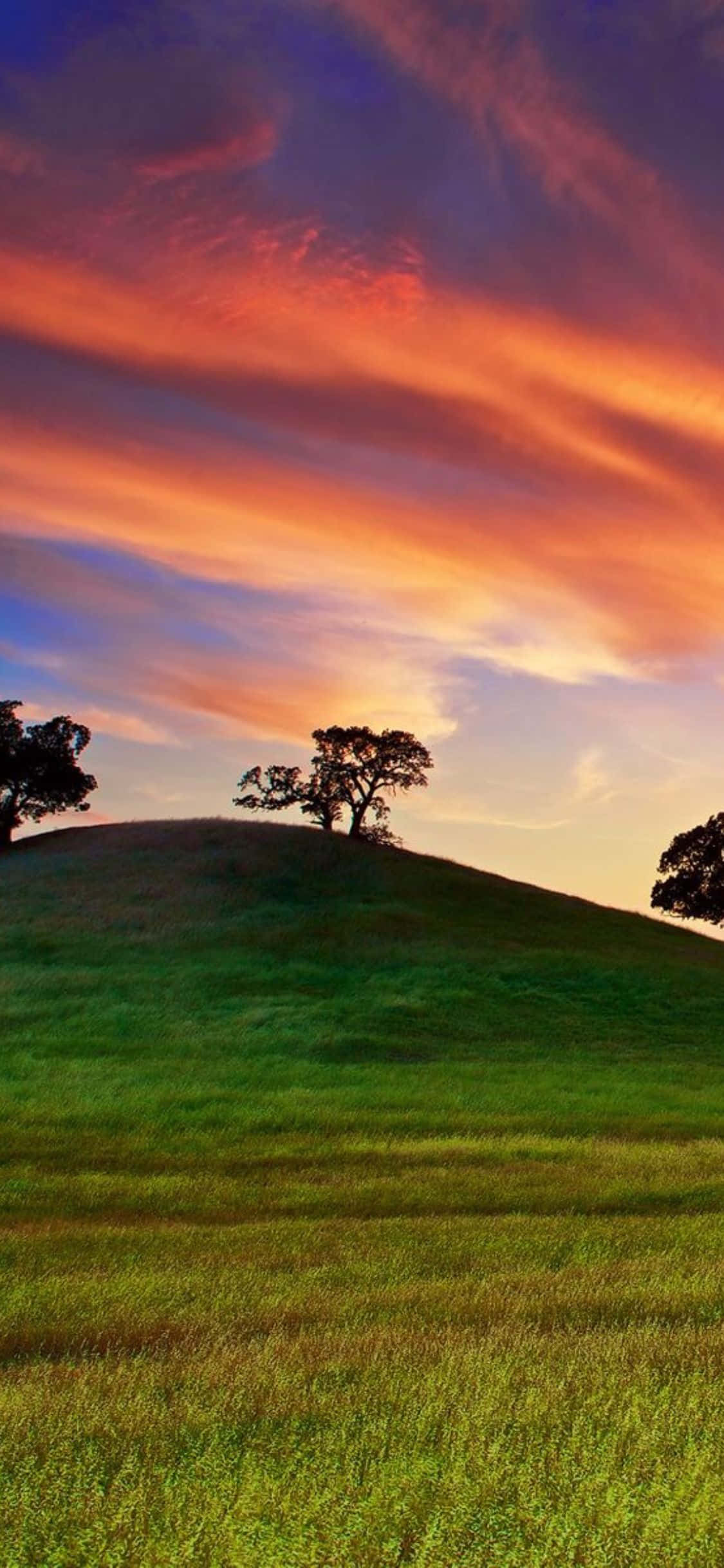用惊艳的iPhone Xs California欣赏金门大桥美景 壁纸