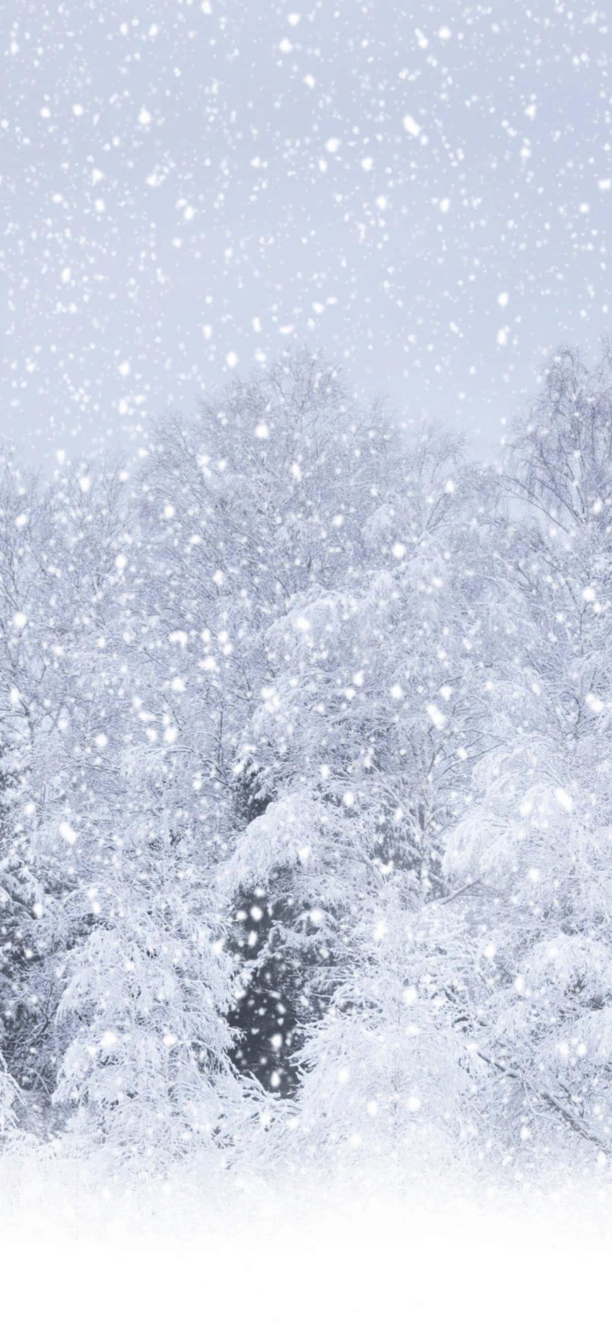 大雪纷飞 iPhone XS Max 冬季背景 壁纸
