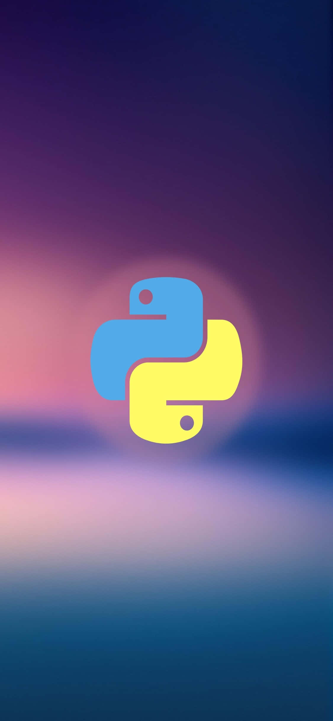 iPhone Xs 编程背景 Python 标志 壁纸