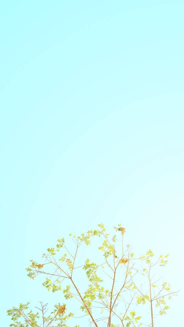 浅蓝柔和iPhone壁纸 壁纸