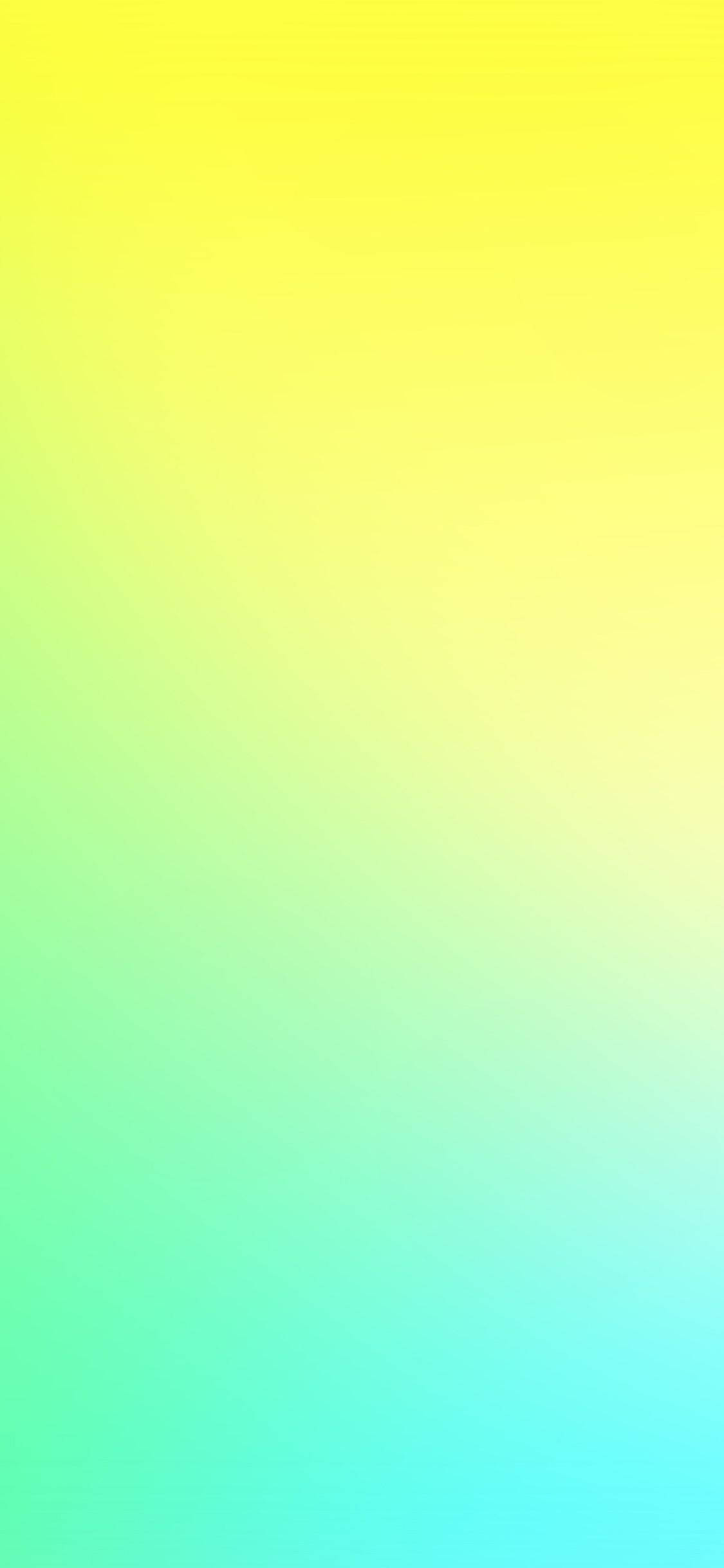 明亮iPhone 壁纸