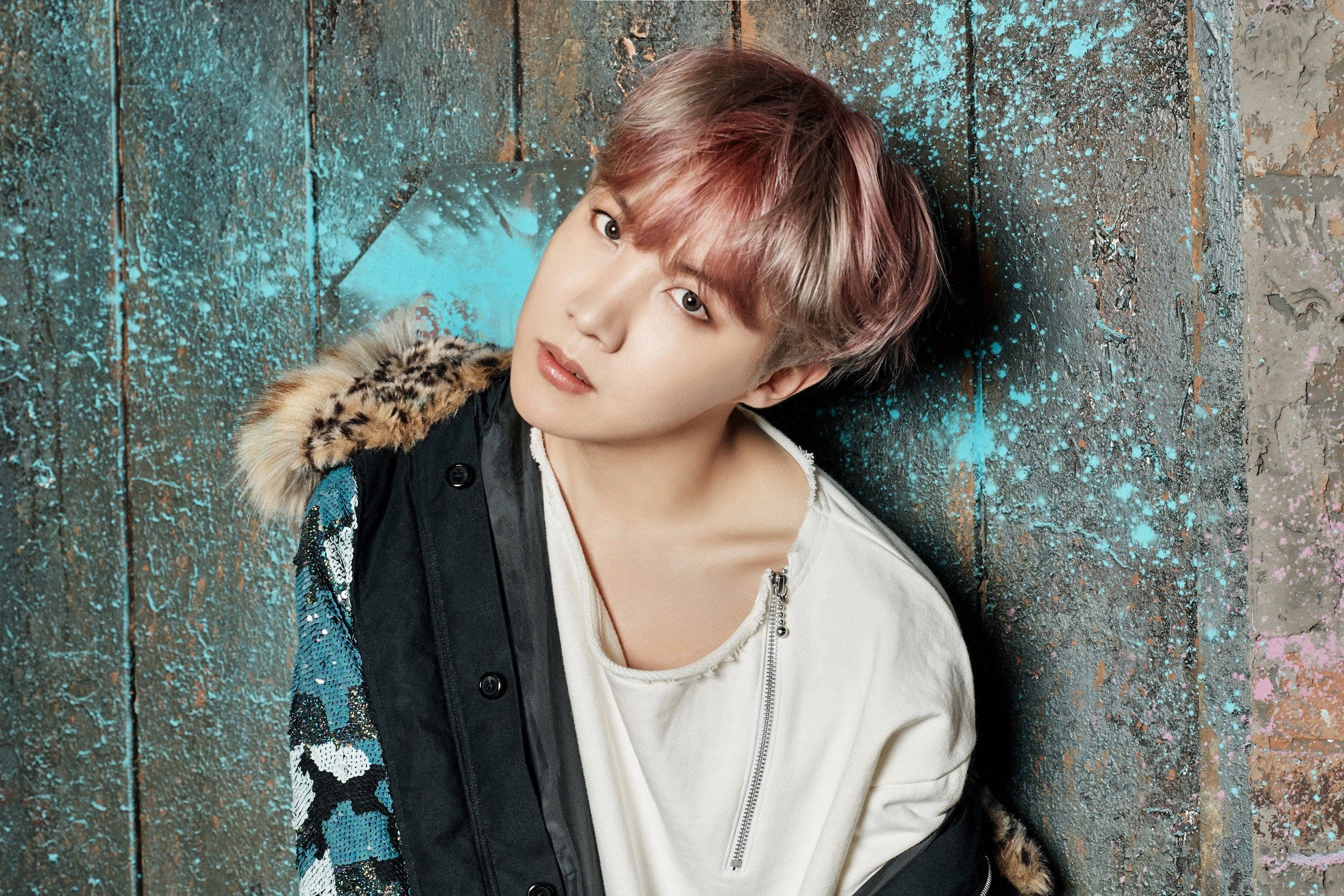 J-Hope可爱概念照 壁纸