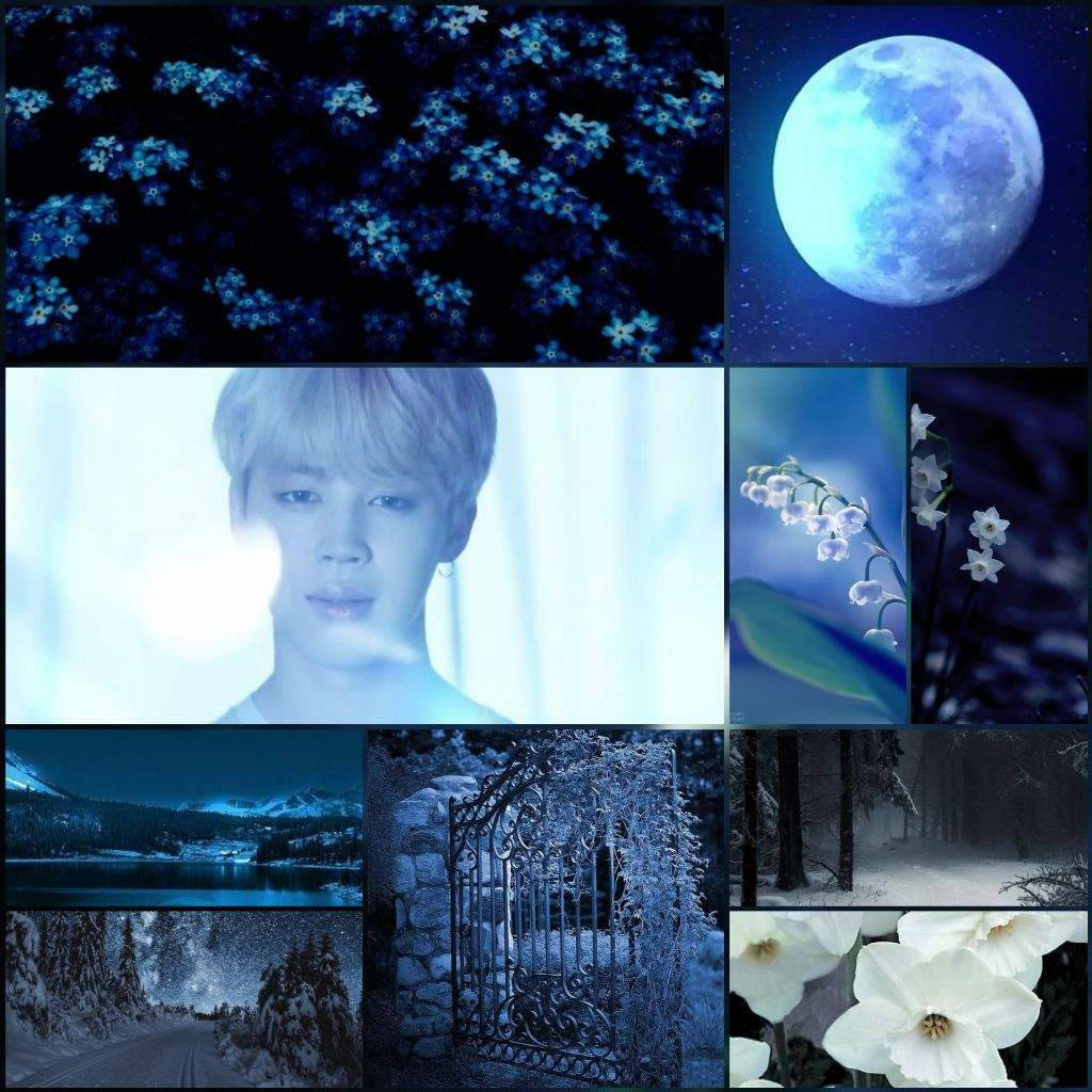 Jimin BTS 美学月光仙境 壁纸