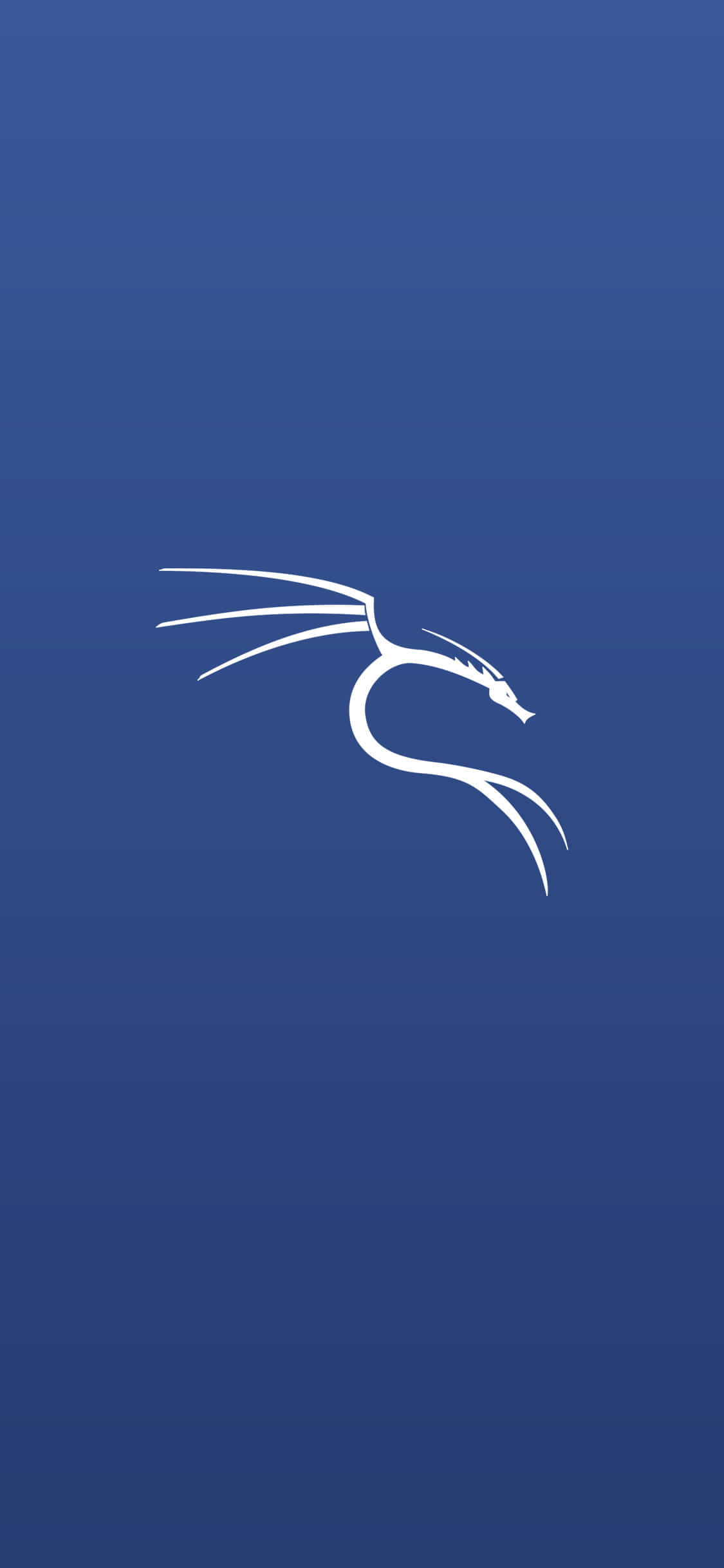 Kali Linux 矩阵环境 壁纸