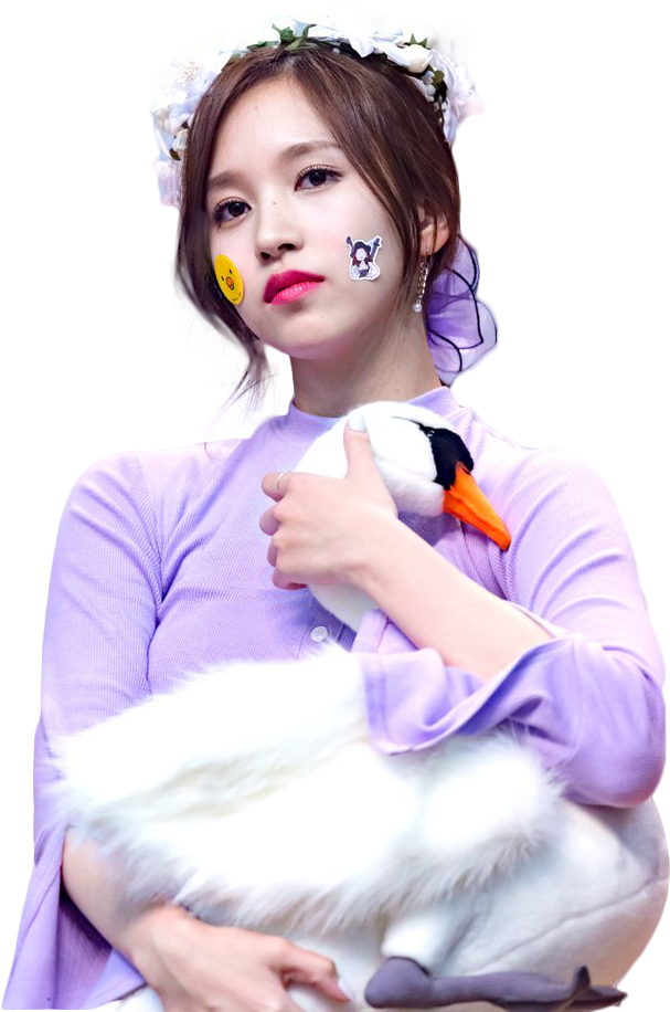 Kpop明星与毛绒天鹅 壁纸