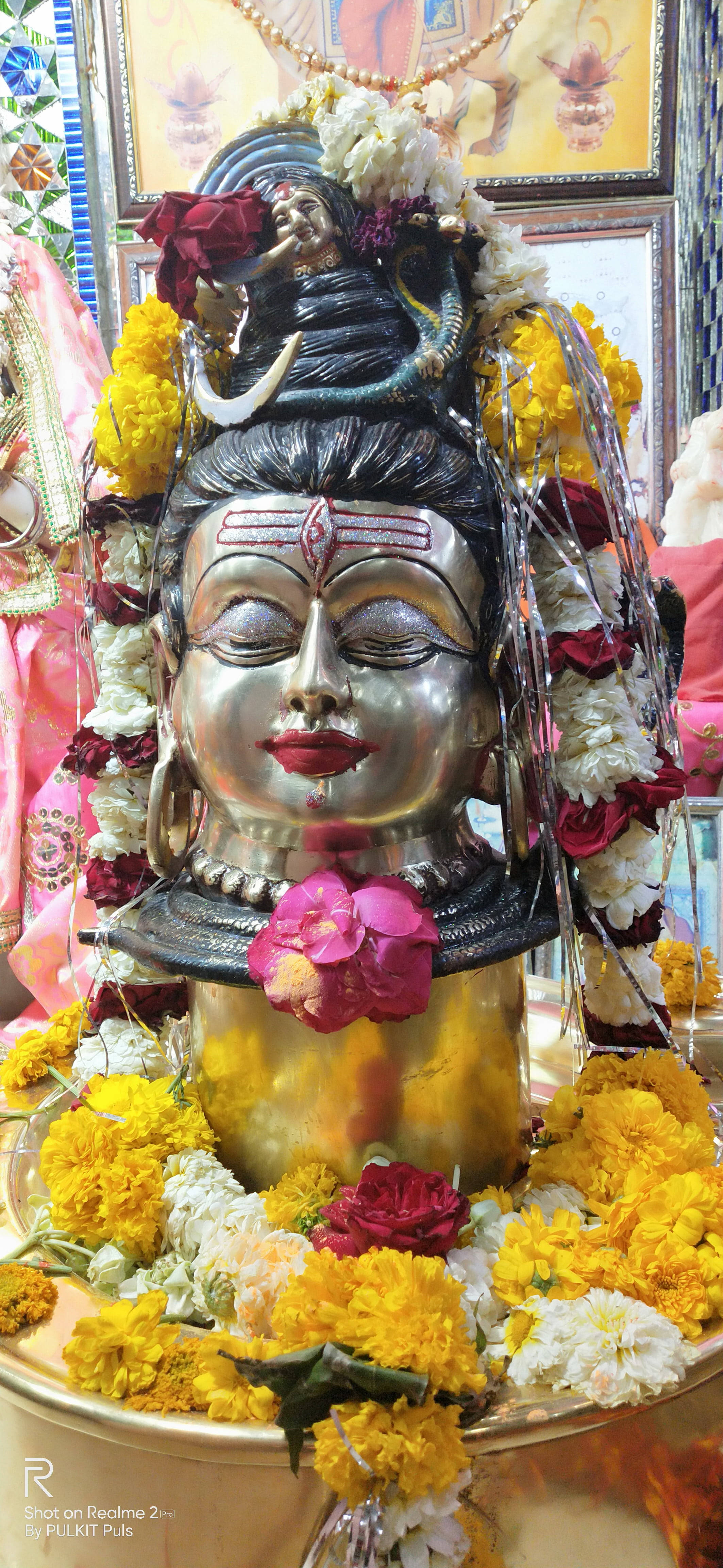 乌贾因 Mahakal 黄色花朵 壁纸