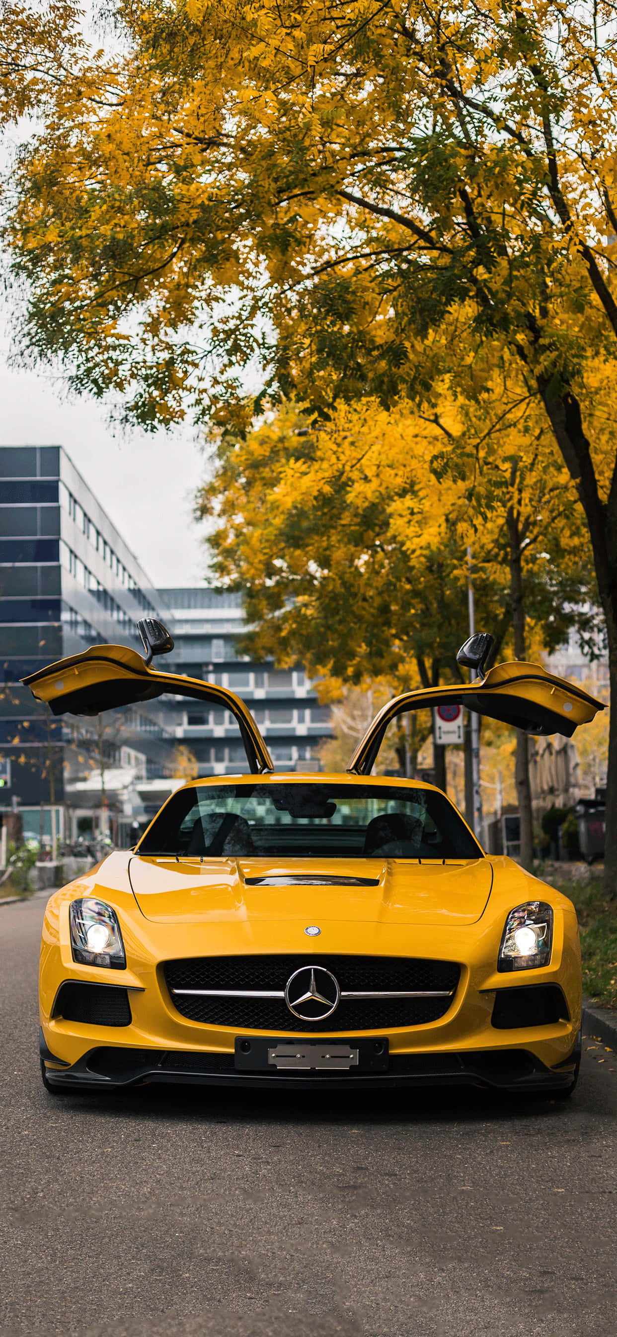 Mercedes背景 壁纸