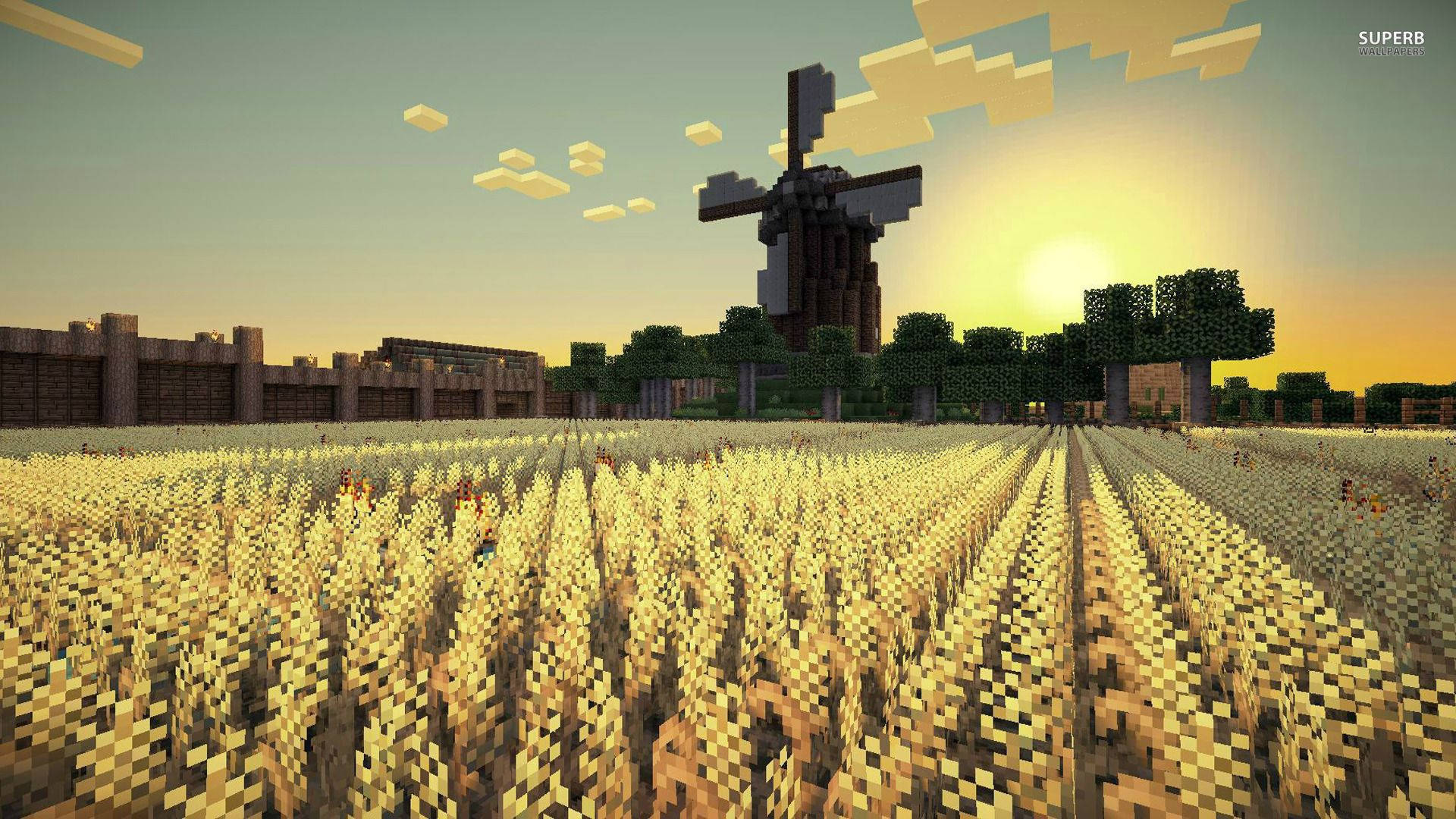 在 Minecraft 稻田中享受宁静的早晨 壁纸