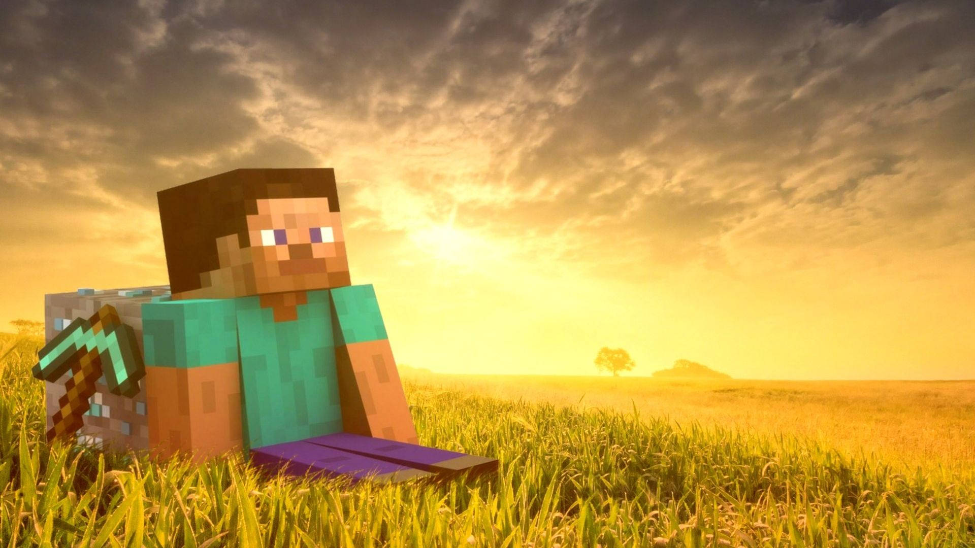 史蒂夫在草地与钻石上的Minecraft高清壁纸 壁纸