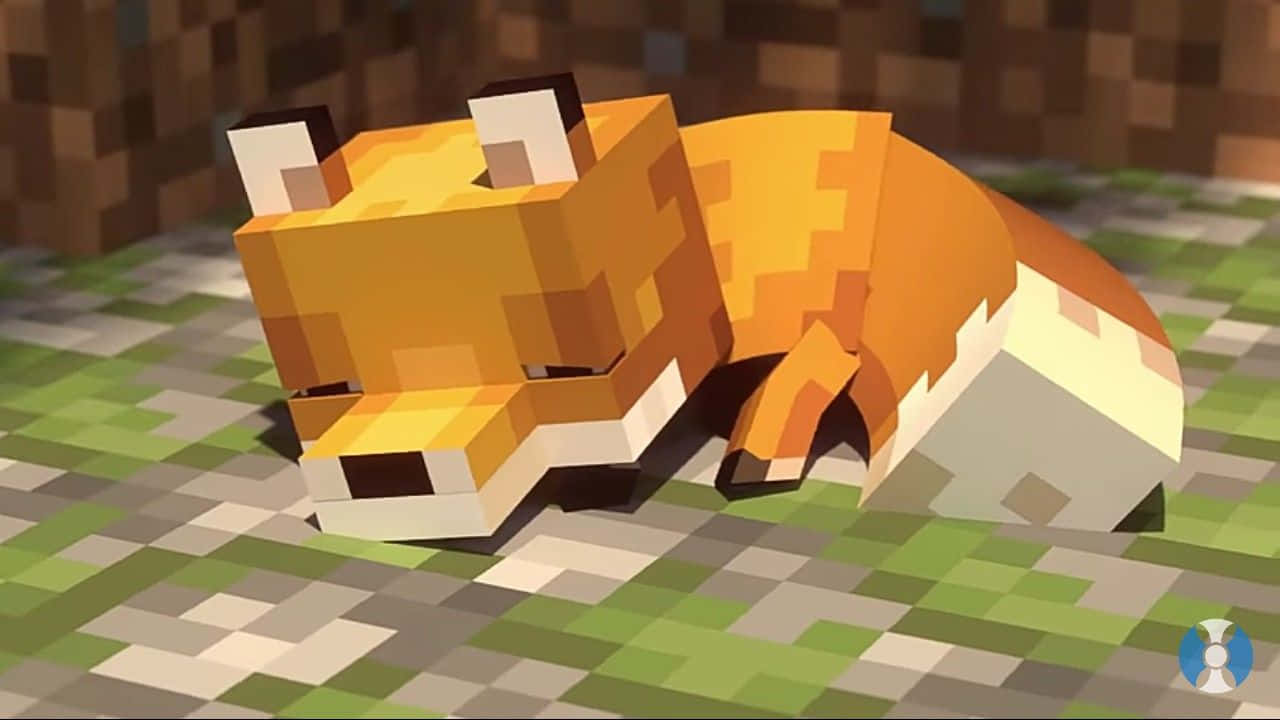 可爱Minecraft睡狐 壁纸