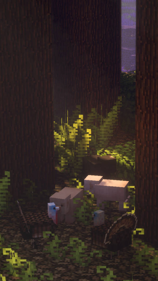 Minecraft 美学隐藏黑暗森林 壁纸