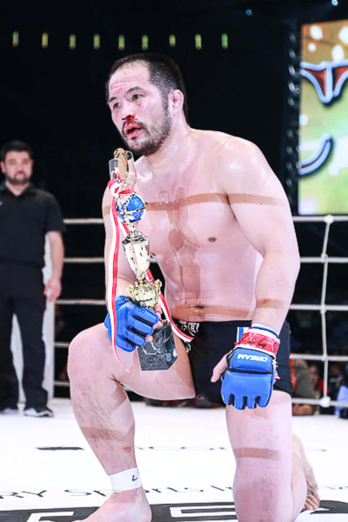 日本MMA选手林逸斋血战面容 壁纸