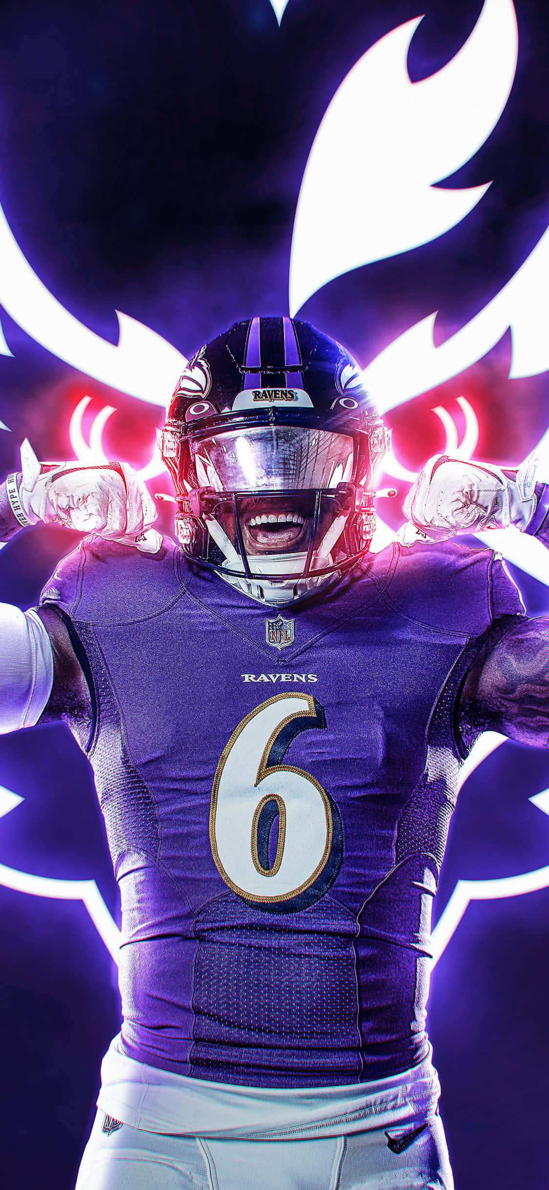 美国国家橄榄球联盟（NFL）赛场 壁纸