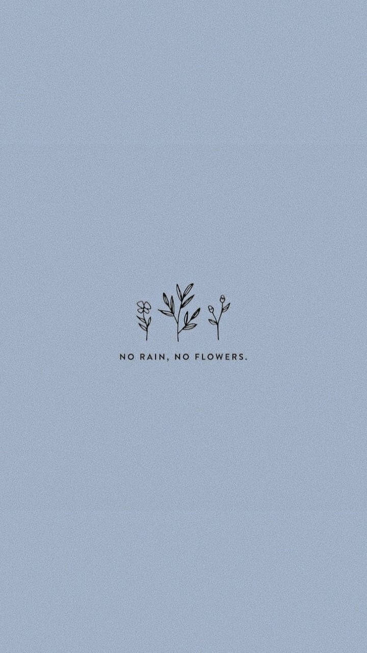 No Rain No Flowers 可爱美学 壁纸