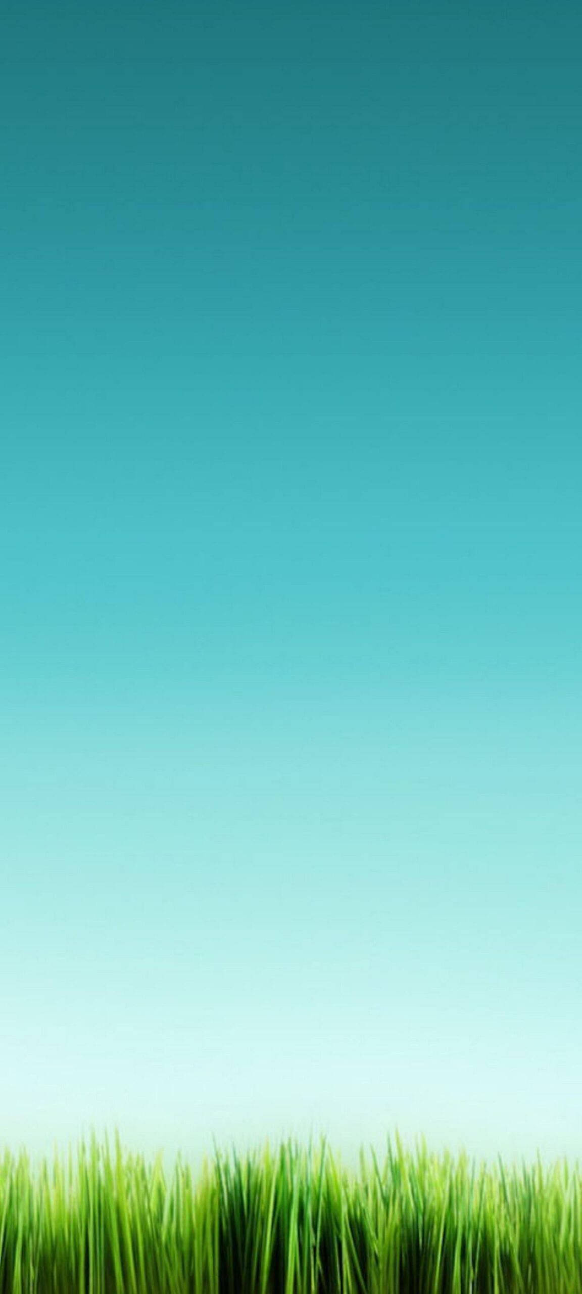 OnePlus 8 Pro 宁静天际线 壁纸