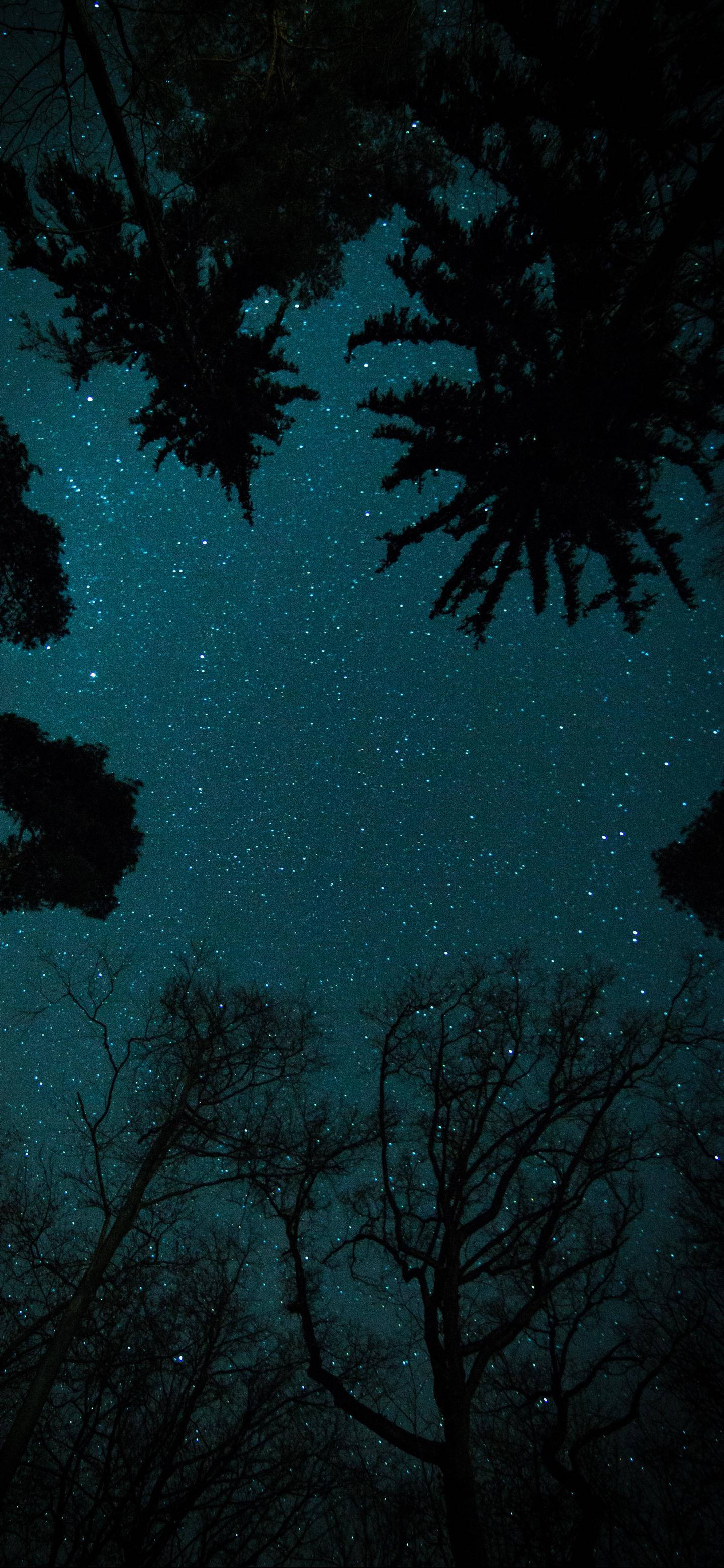OnePlus 星空夜空 壁纸