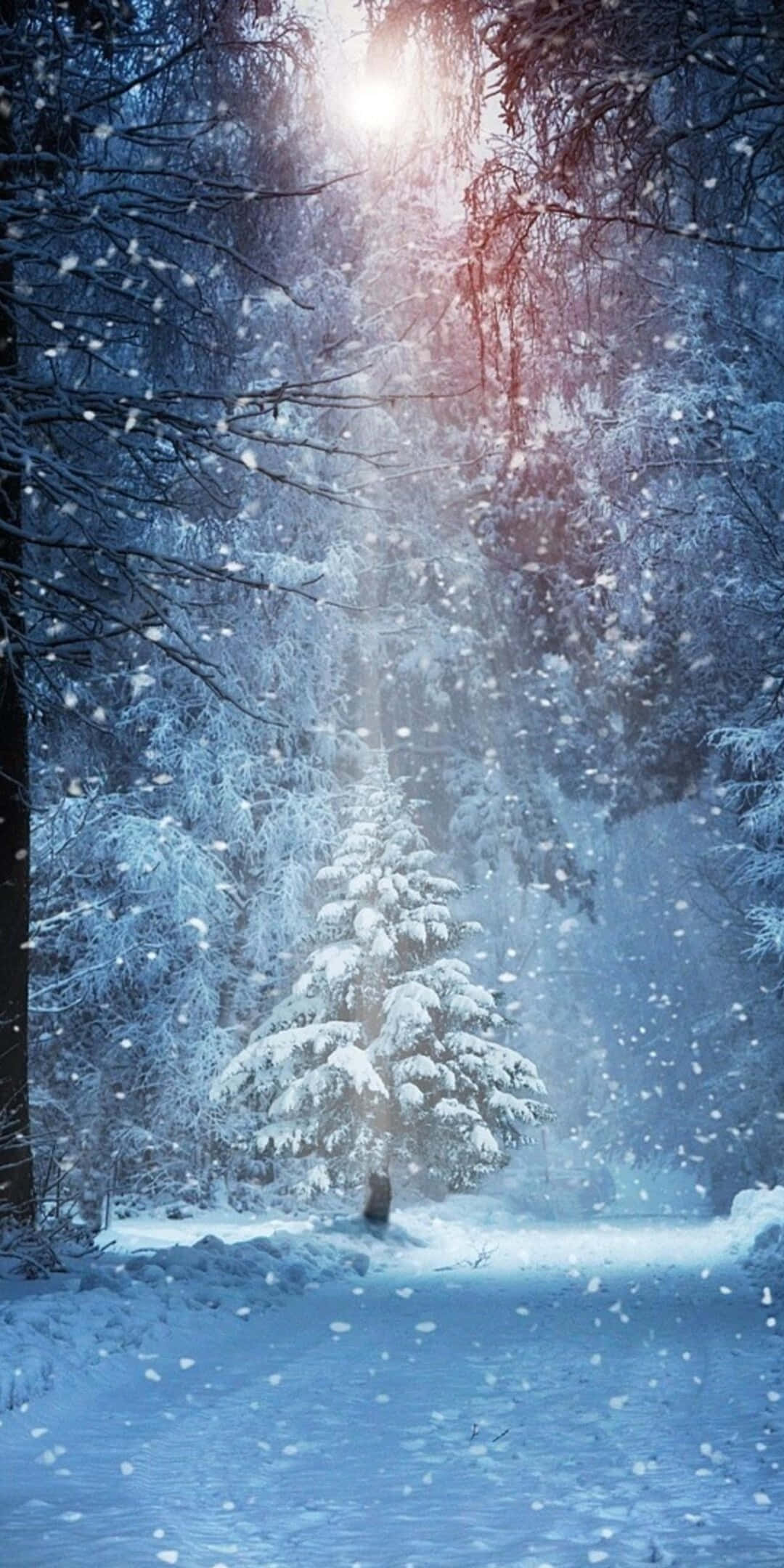 Pixel 3 冬日背景 雪树聚光灯 壁纸