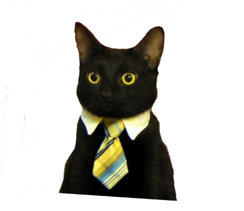 商务猫表情包.PNG 壁纸
