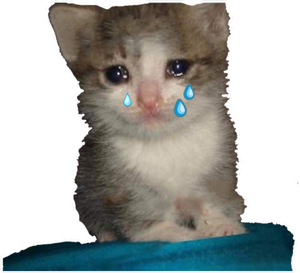 哭泣小猫表情.PNG 壁纸