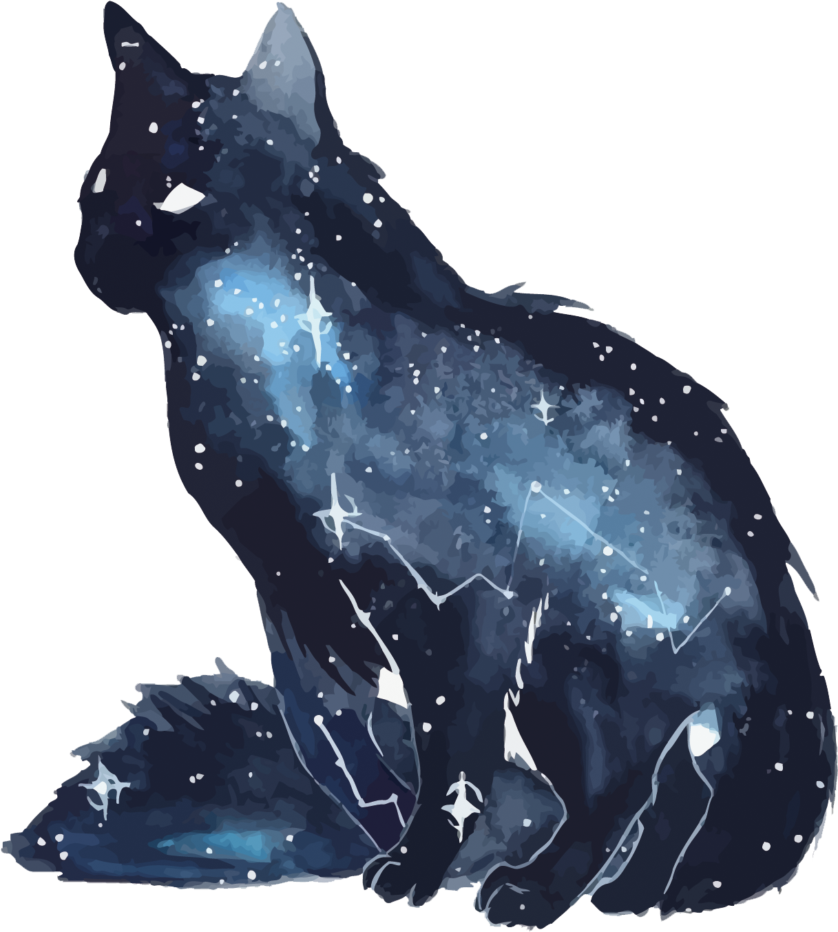 宇宙猫咪星系猫.PNG 壁纸