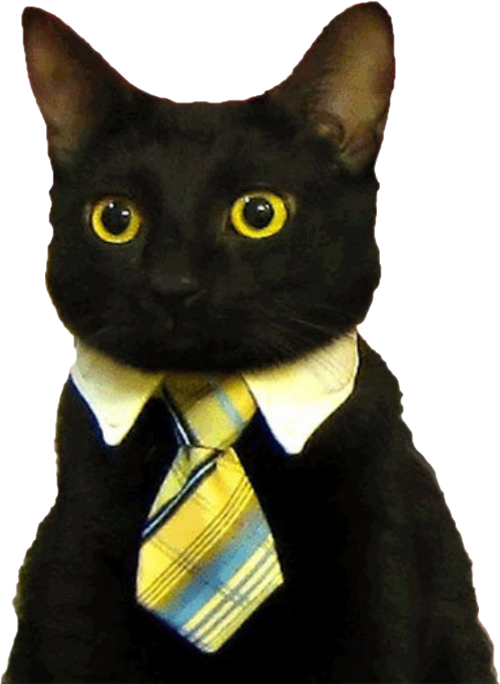 商务猫穿西装_梗图.PNG 壁纸