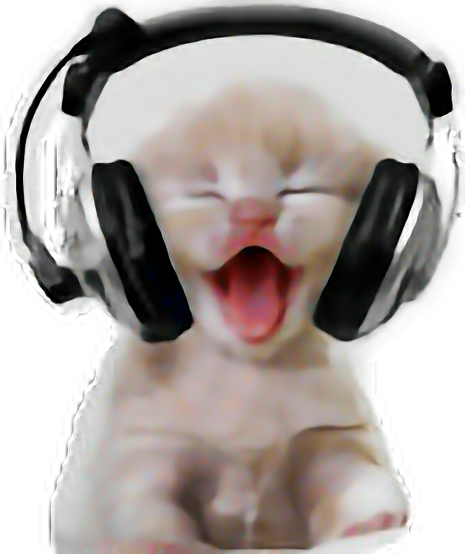 戴着耳机大笑的猫.PNG 壁纸