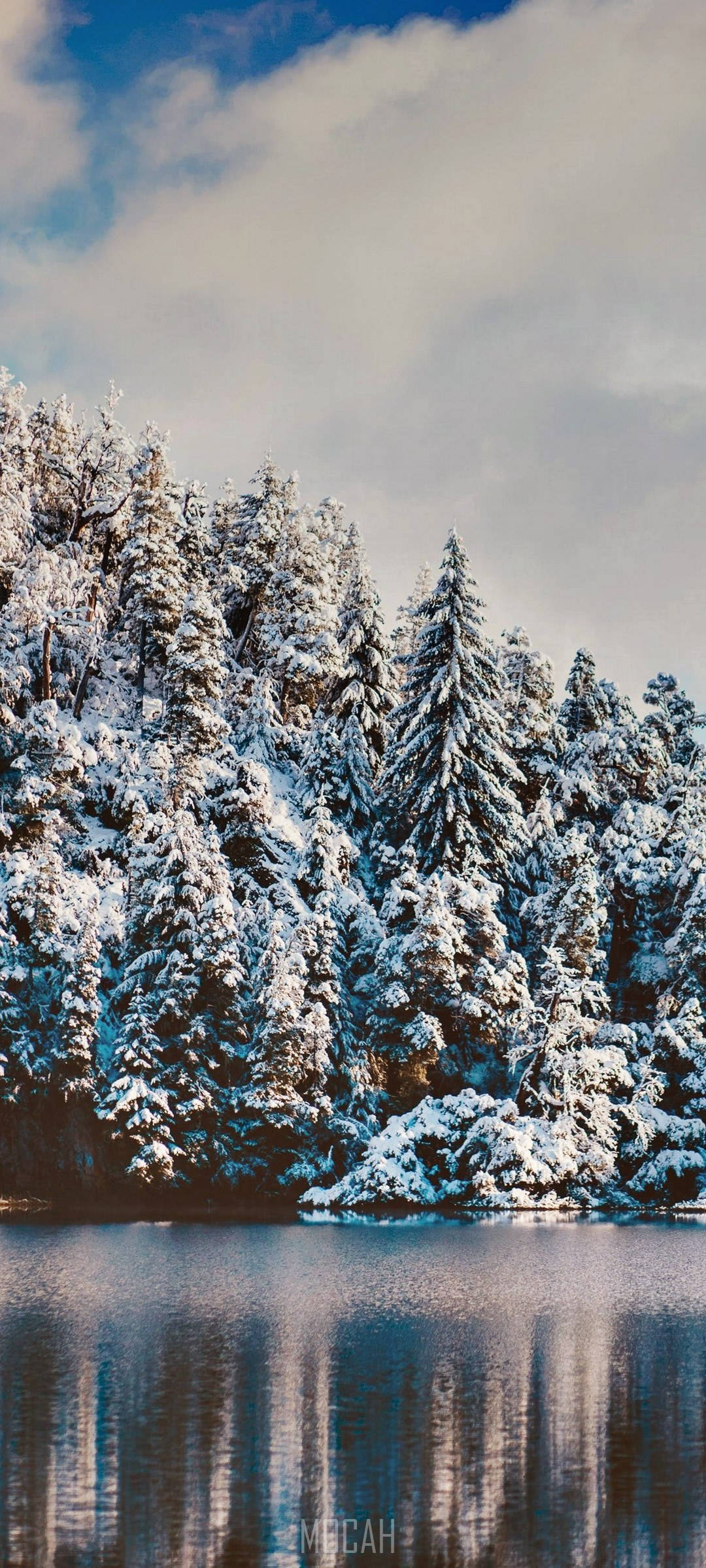 Realme 7 Pro 雪林 壁纸