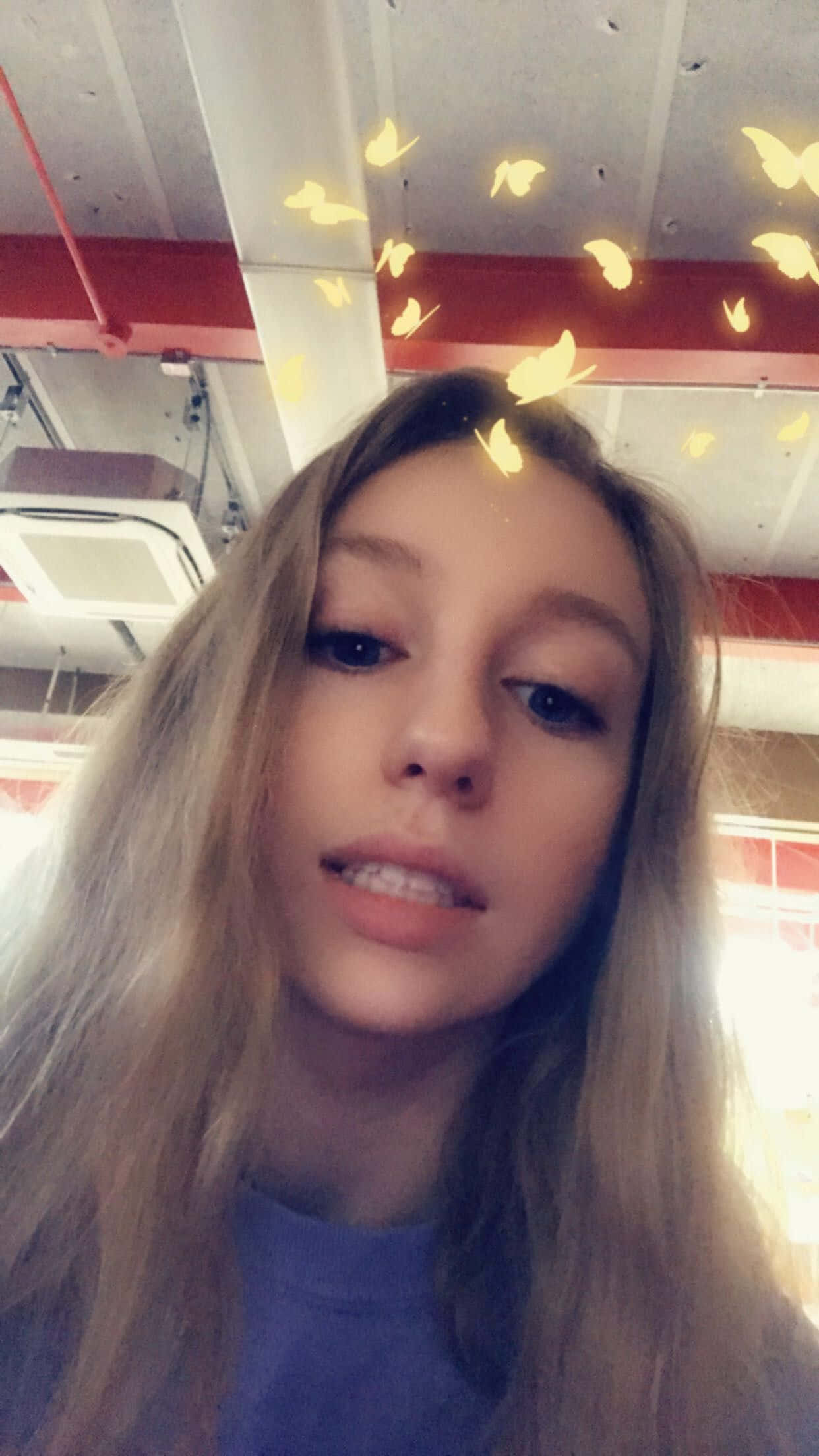 Snapchat黄色蝴蝶图片 壁纸