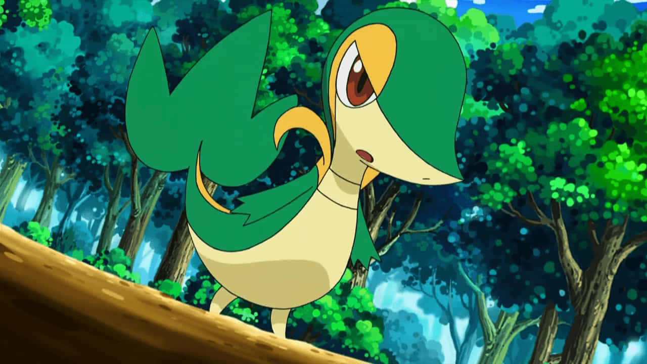 严肃的Snivy 壁纸