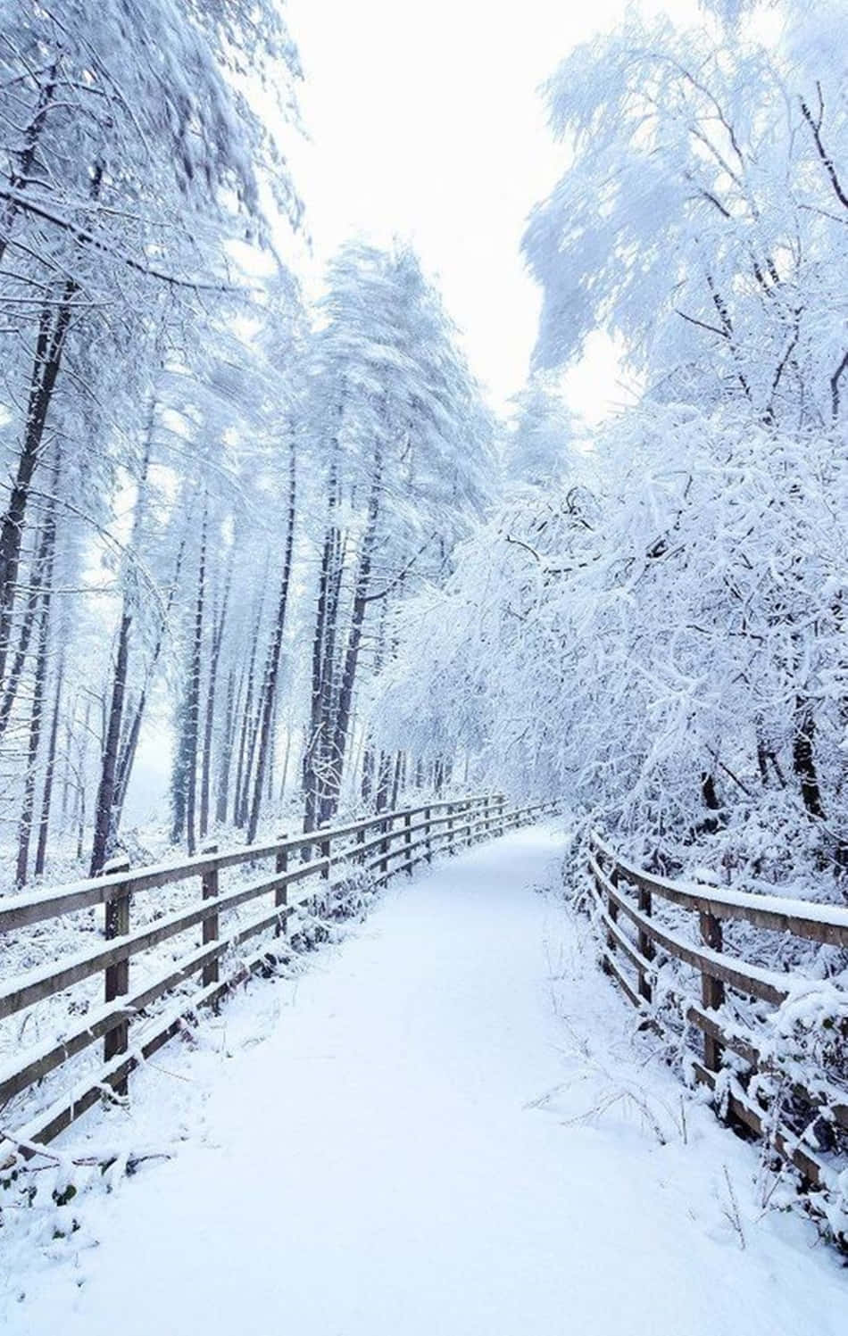 在雪地露营中享受你的Snow iPhone 壁纸
