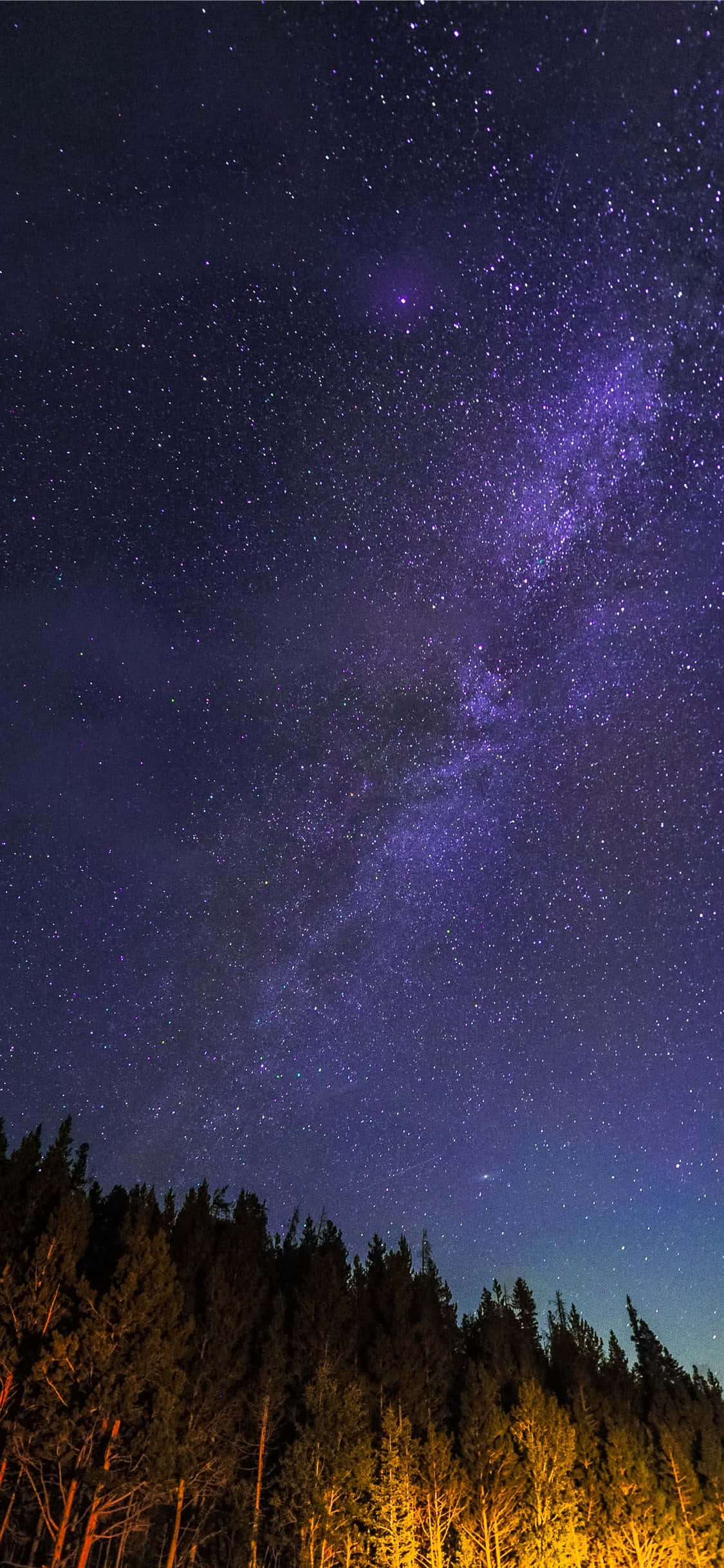 Starry_Night_Over_Forest.JPG 壁纸