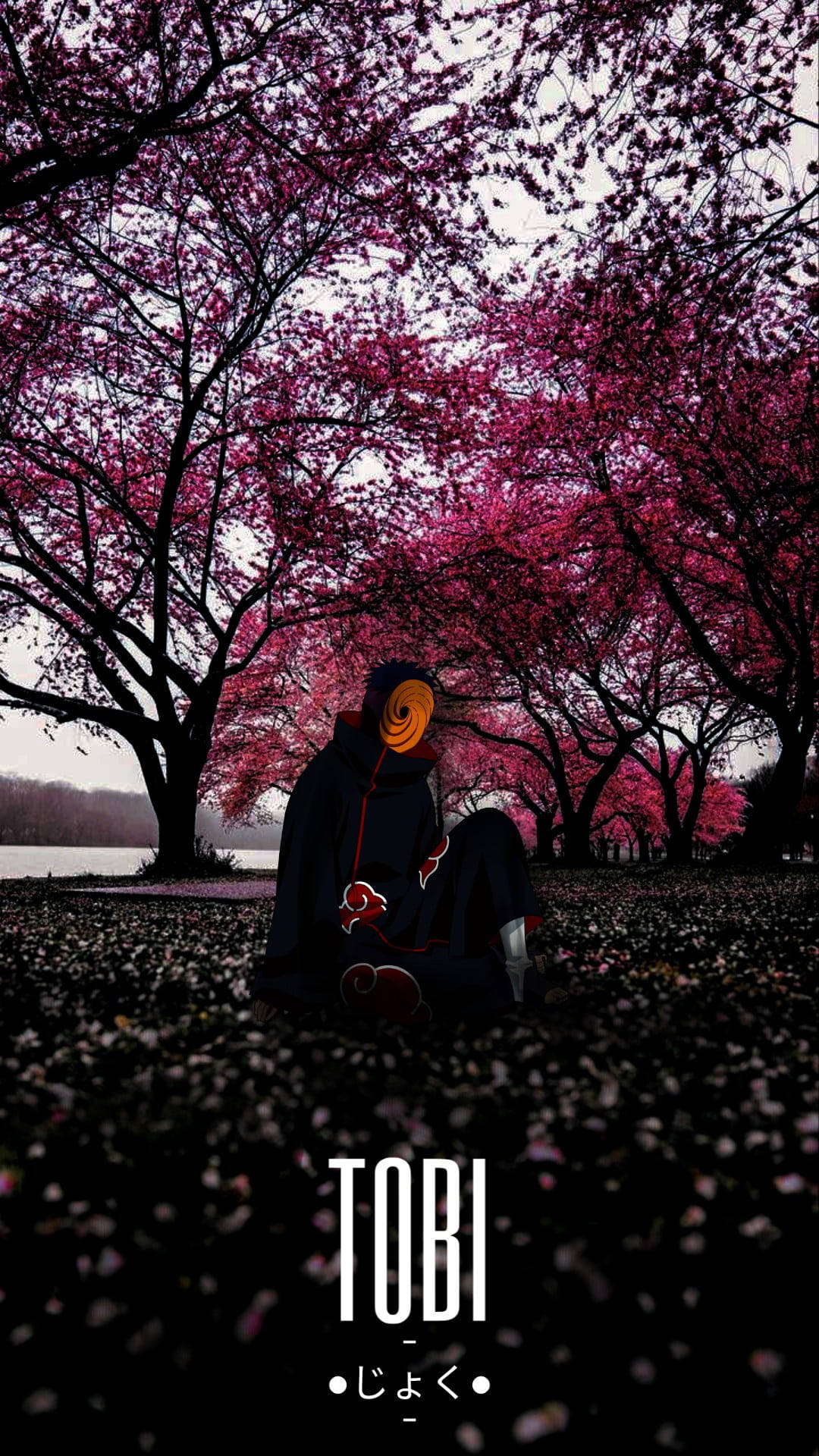 Tobi 火影忍者紫色唯美树木 壁纸