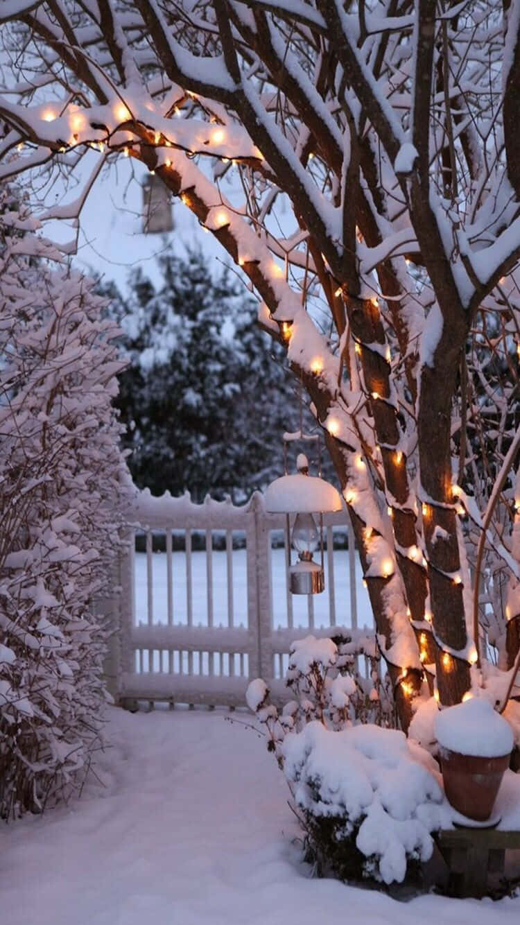 雪门温馨冬日Tumblr 壁纸