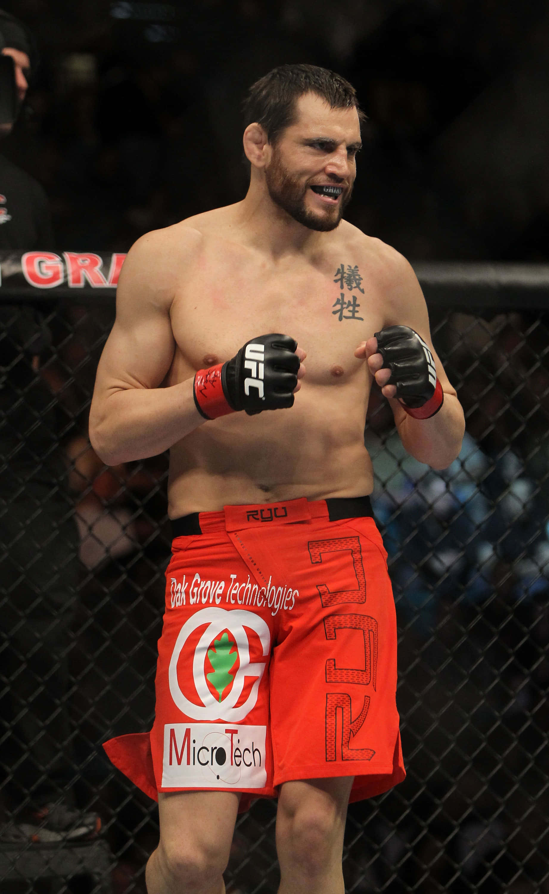 乔恩·菲奇站立八角笼 UFC 141 壁纸